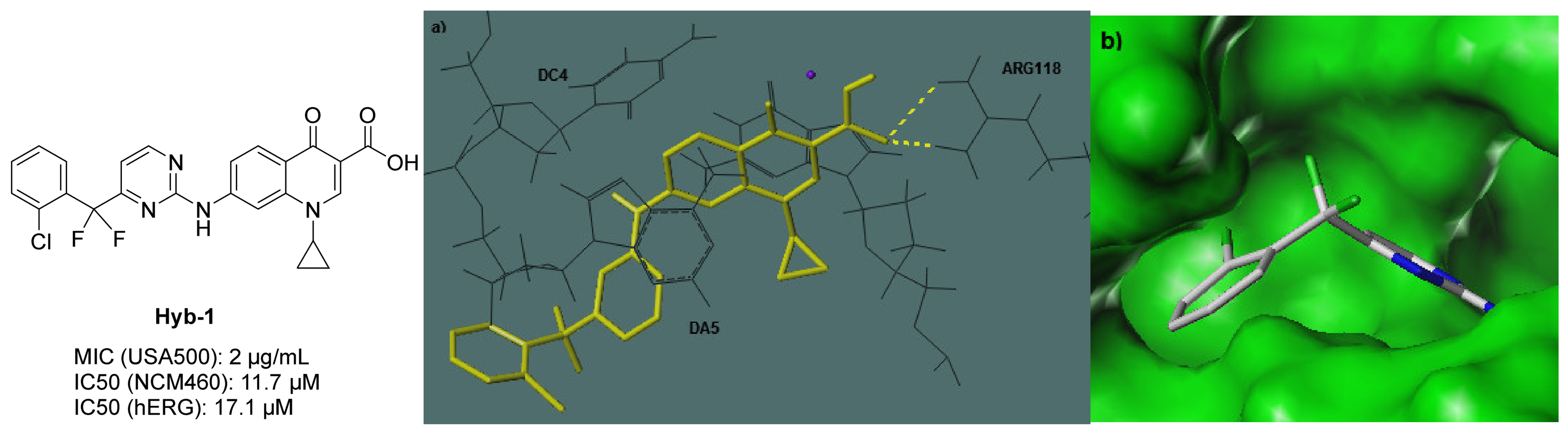 Molecules 31 01633 g002 Molecules 31 01633 g002