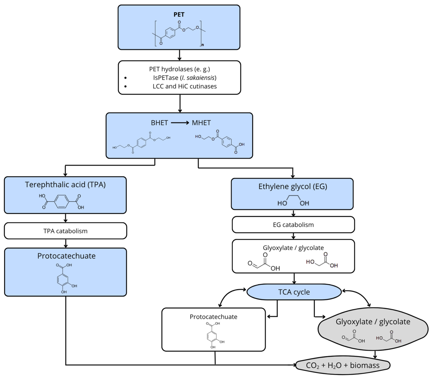 Molecules 31 01638 g005 Molecules 31 01638 g005