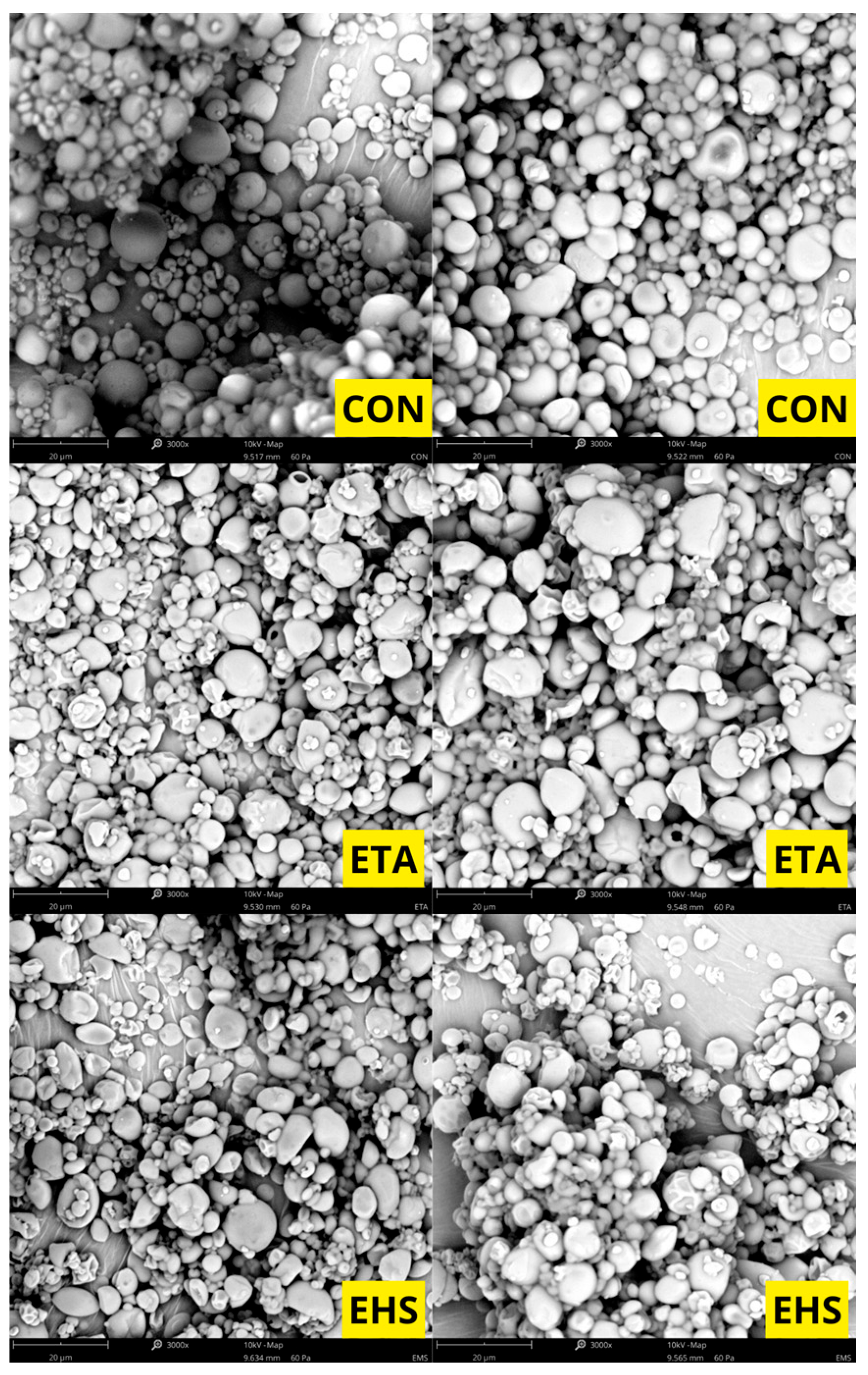 Molecules 31 01649 g001
