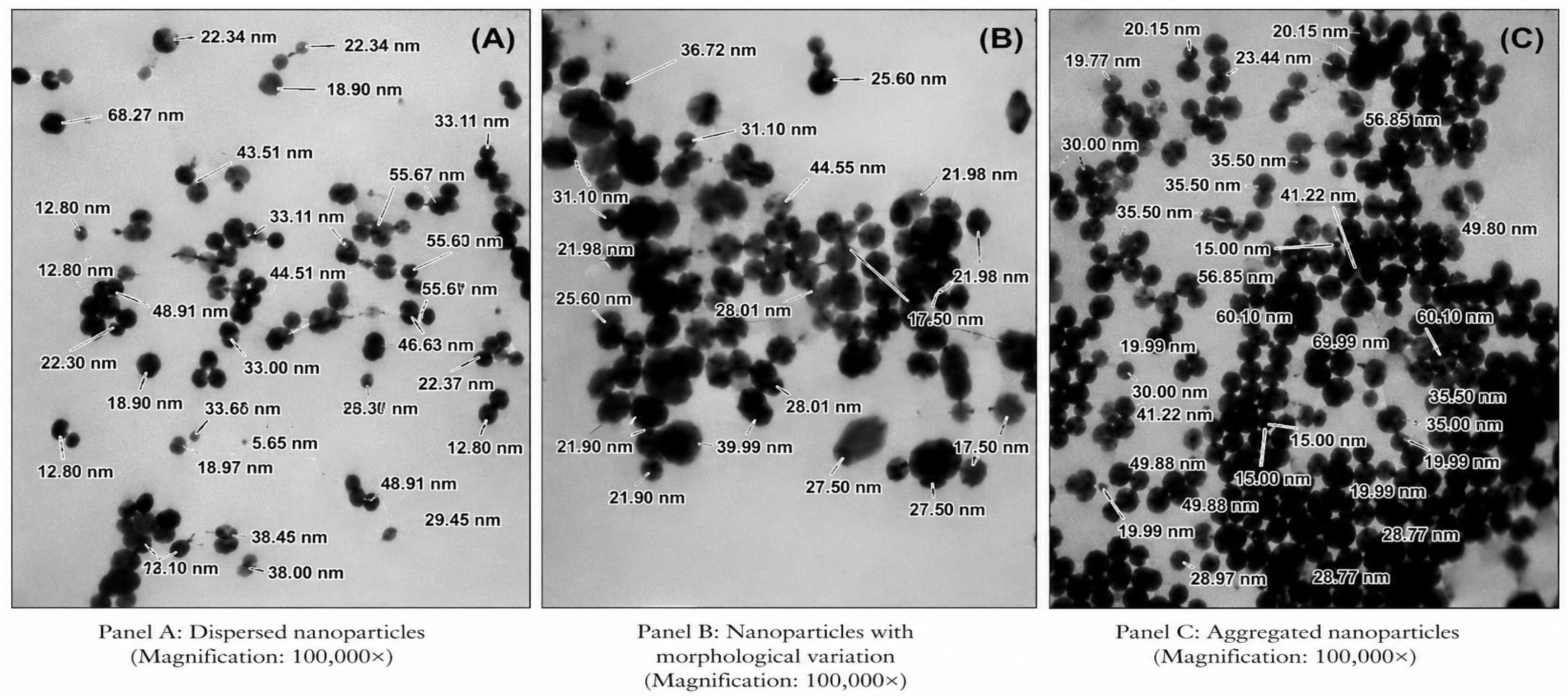Molecules 31 01653 g004 Molecules 31 01653 g004