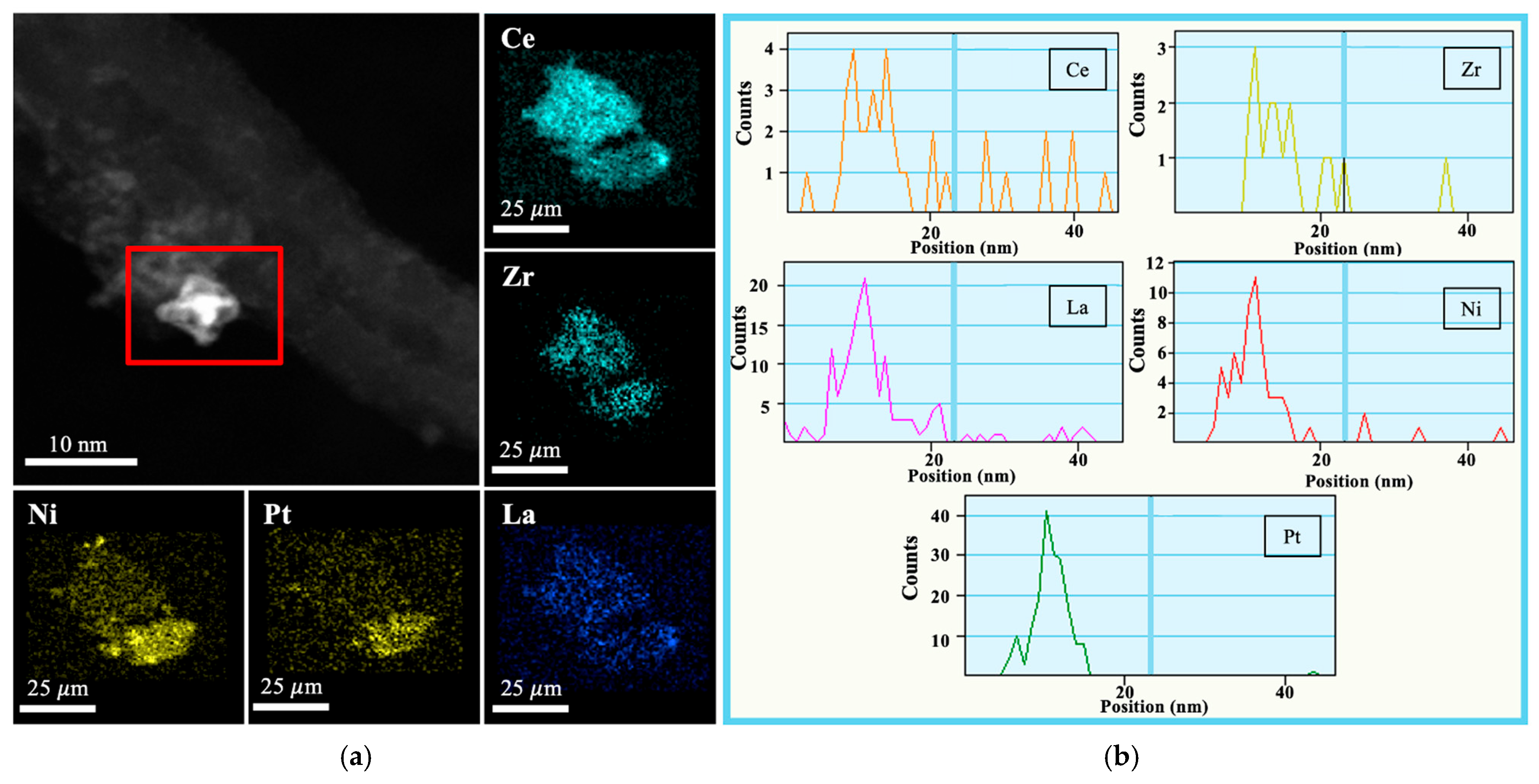 Molecules 31 01655 g005