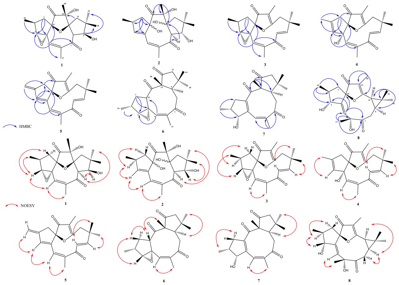 Molecules 31 01663 g002 Molecules 31 01663 g002