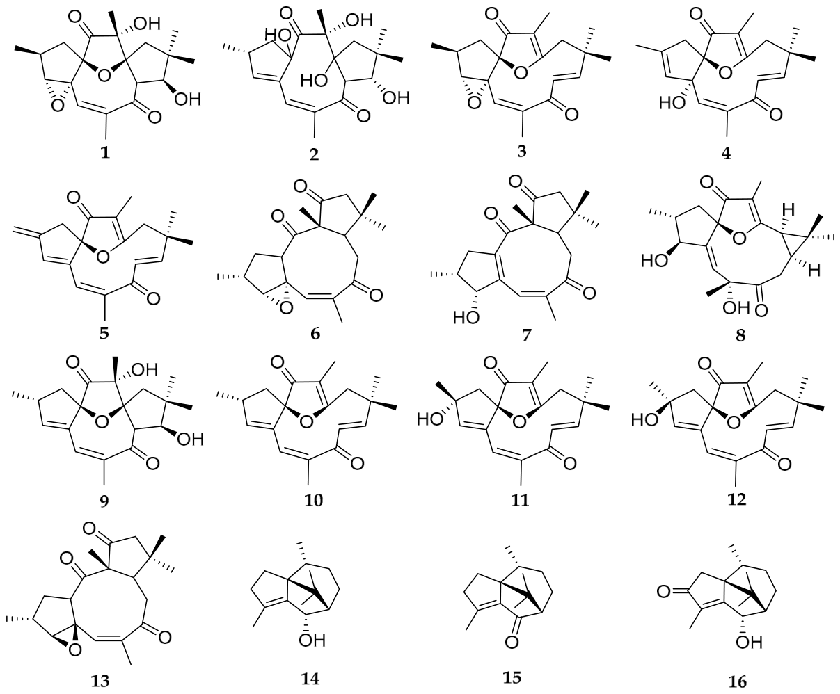 Molecules 31 01663 g003 Molecules 31 01663 g003