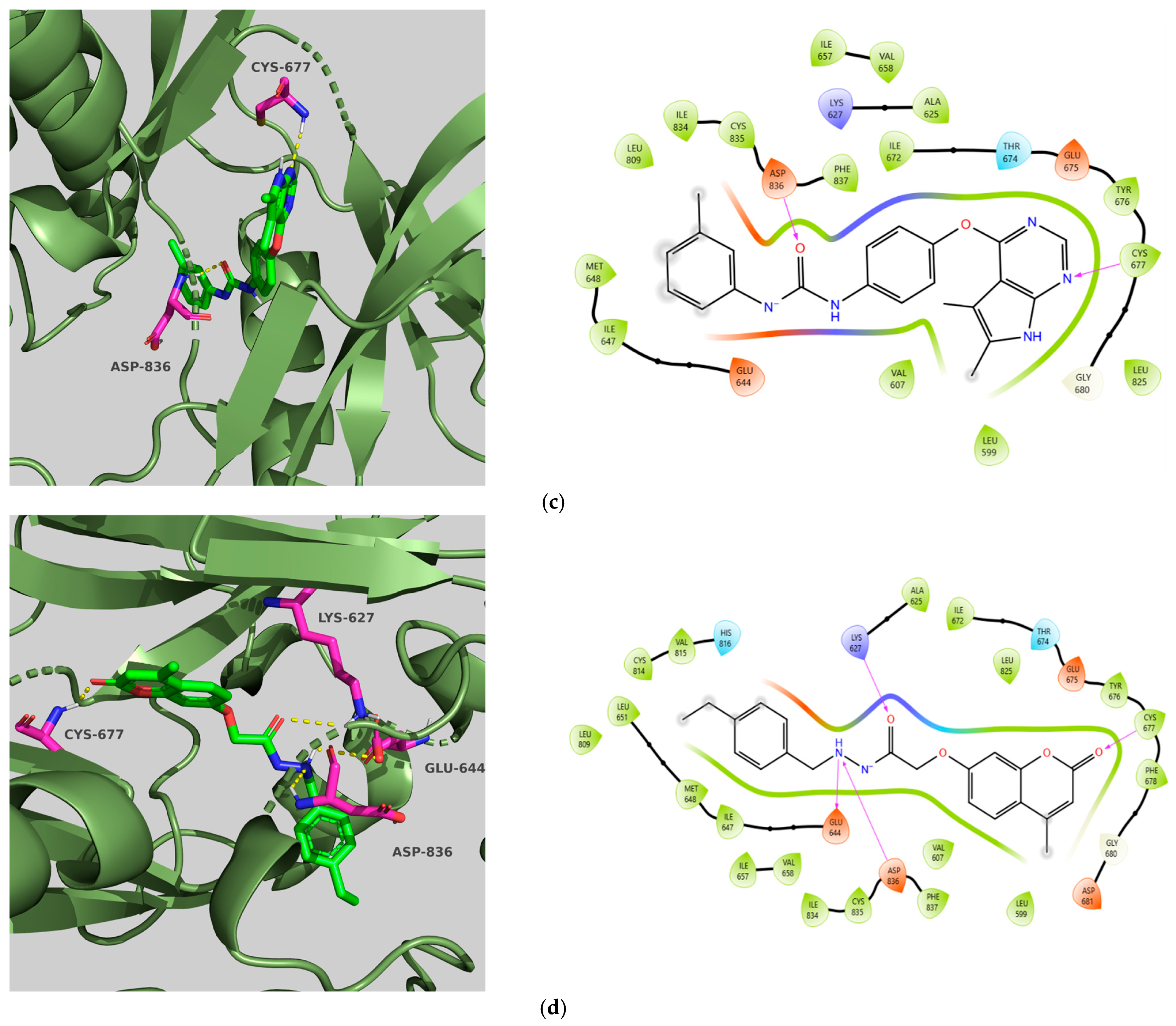 Molecules 31 01689 g004b Molecules 31 01689 g004b