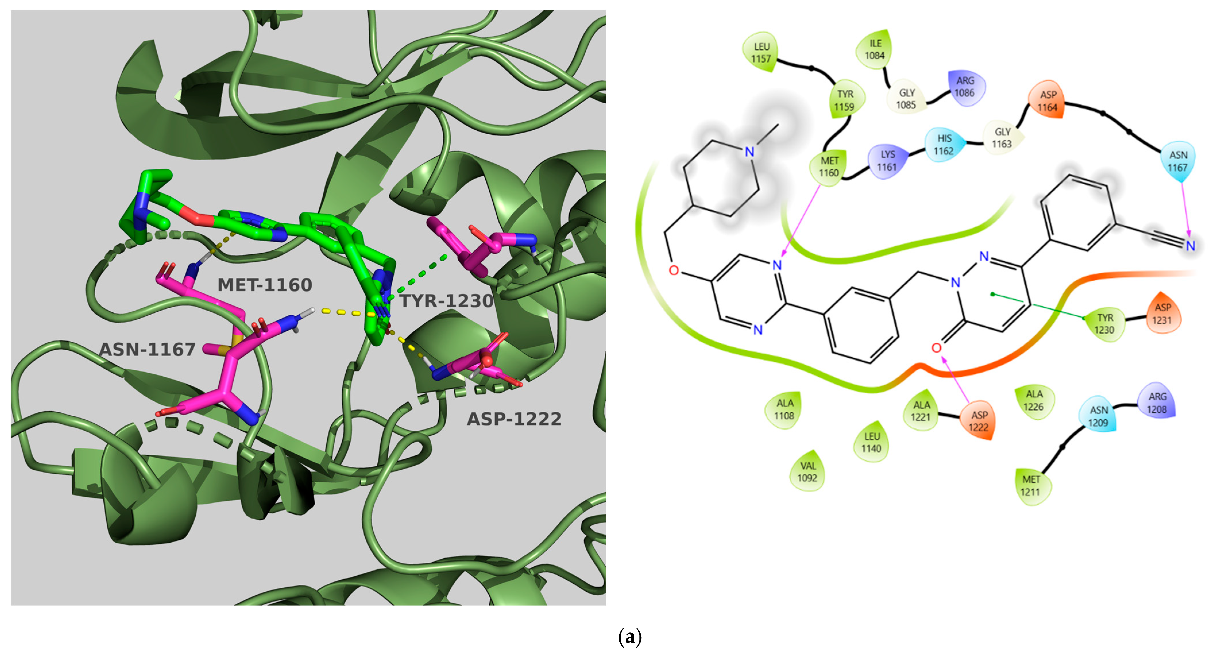 Molecules 31 01689 g007a Molecules 31 01689 g007a