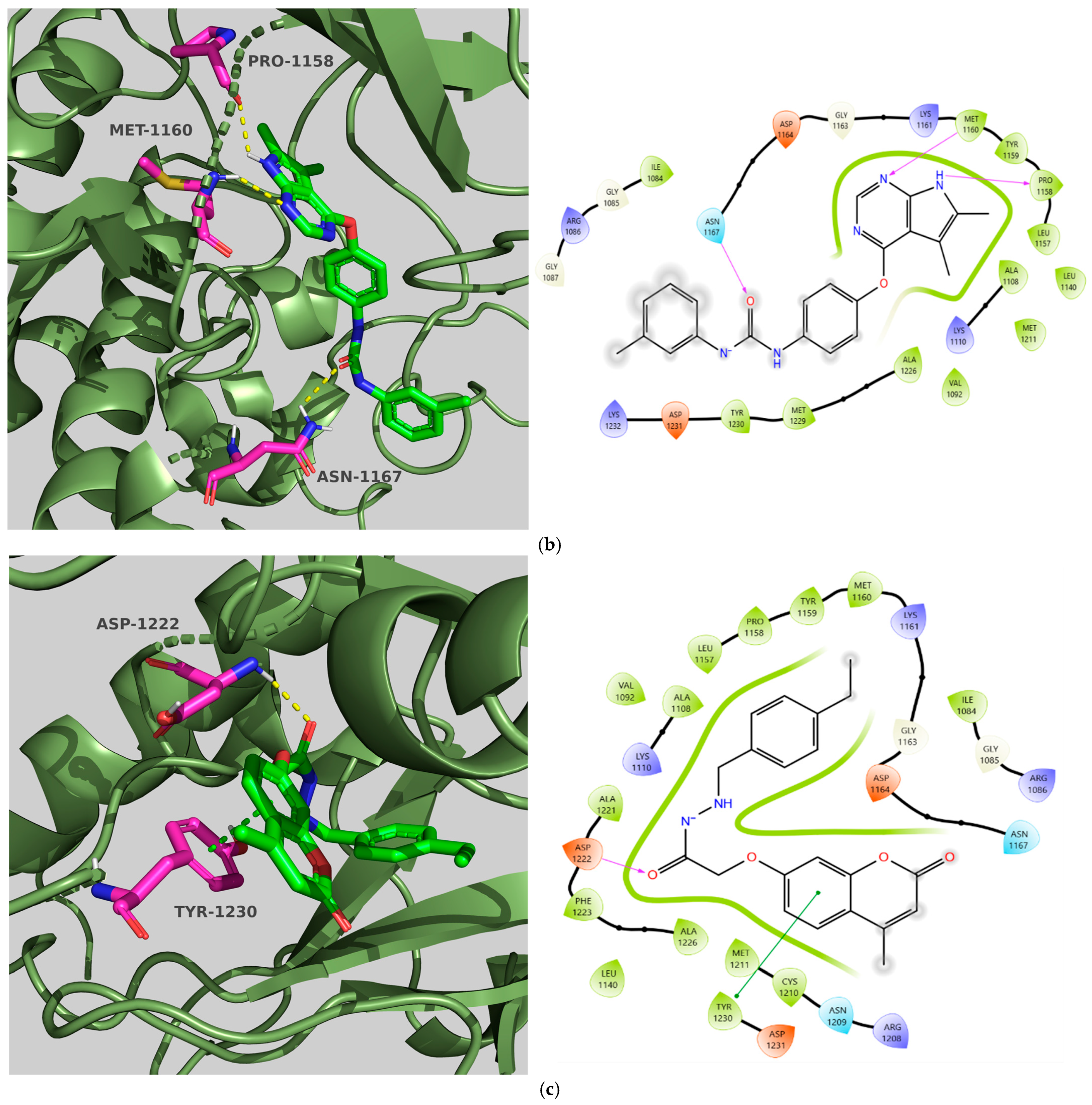 Molecules 31 01689 g007b Molecules 31 01689 g007b