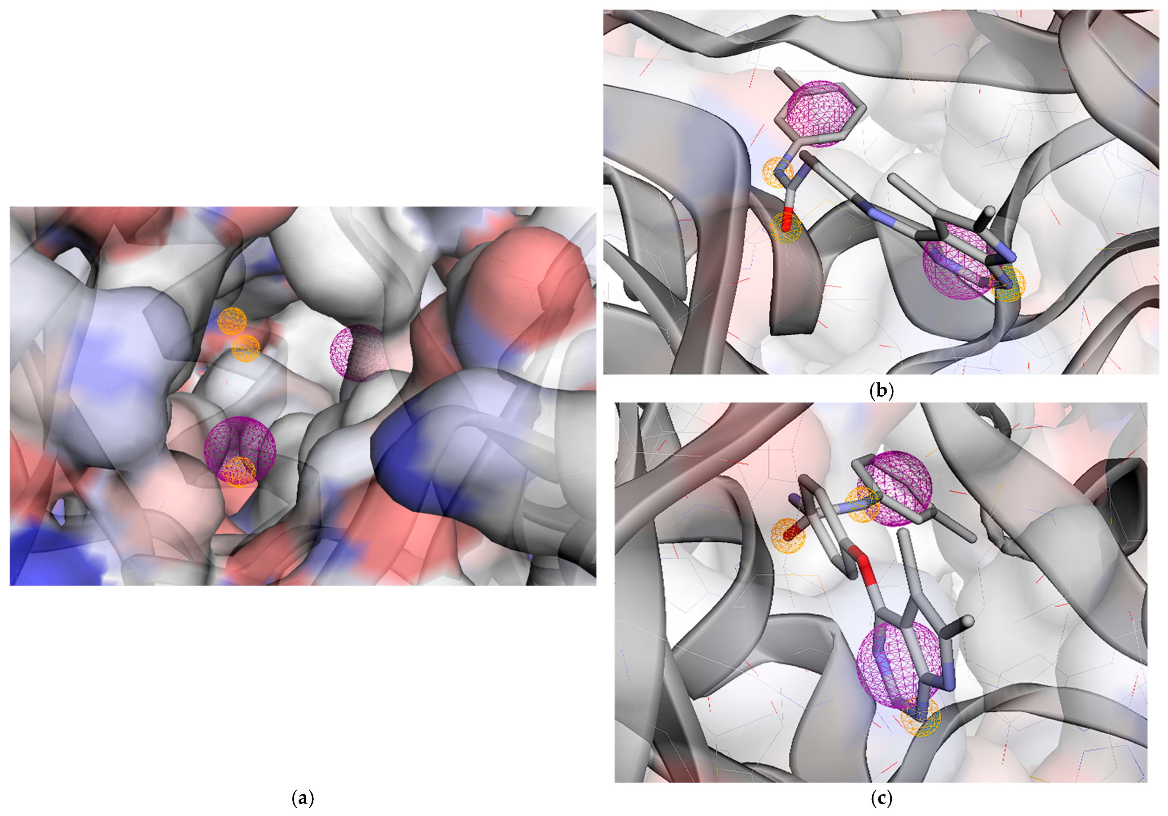 Molecules 31 01689 g010 Molecules 31 01689 g010