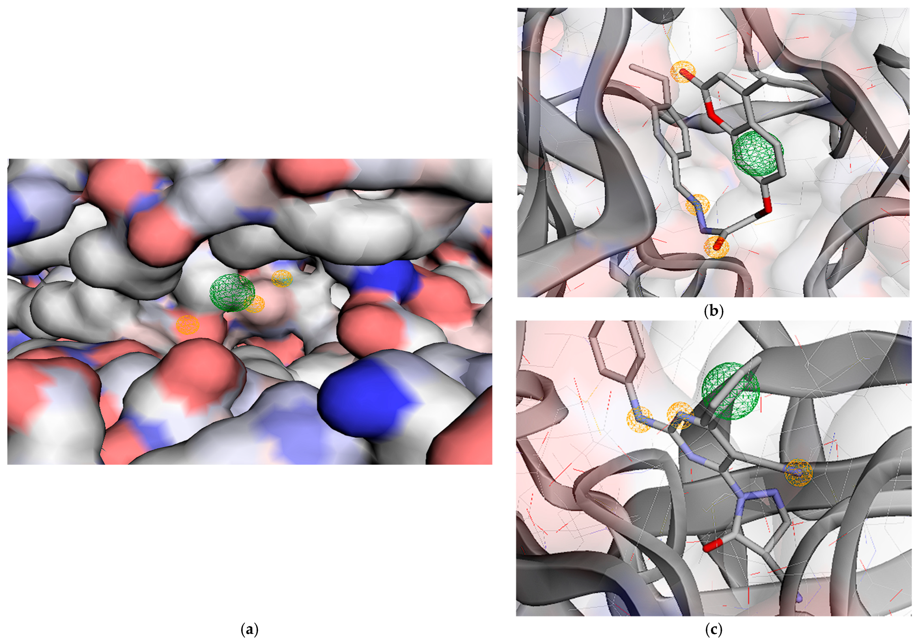 Molecules 31 01689 g011 Molecules 31 01689 g011