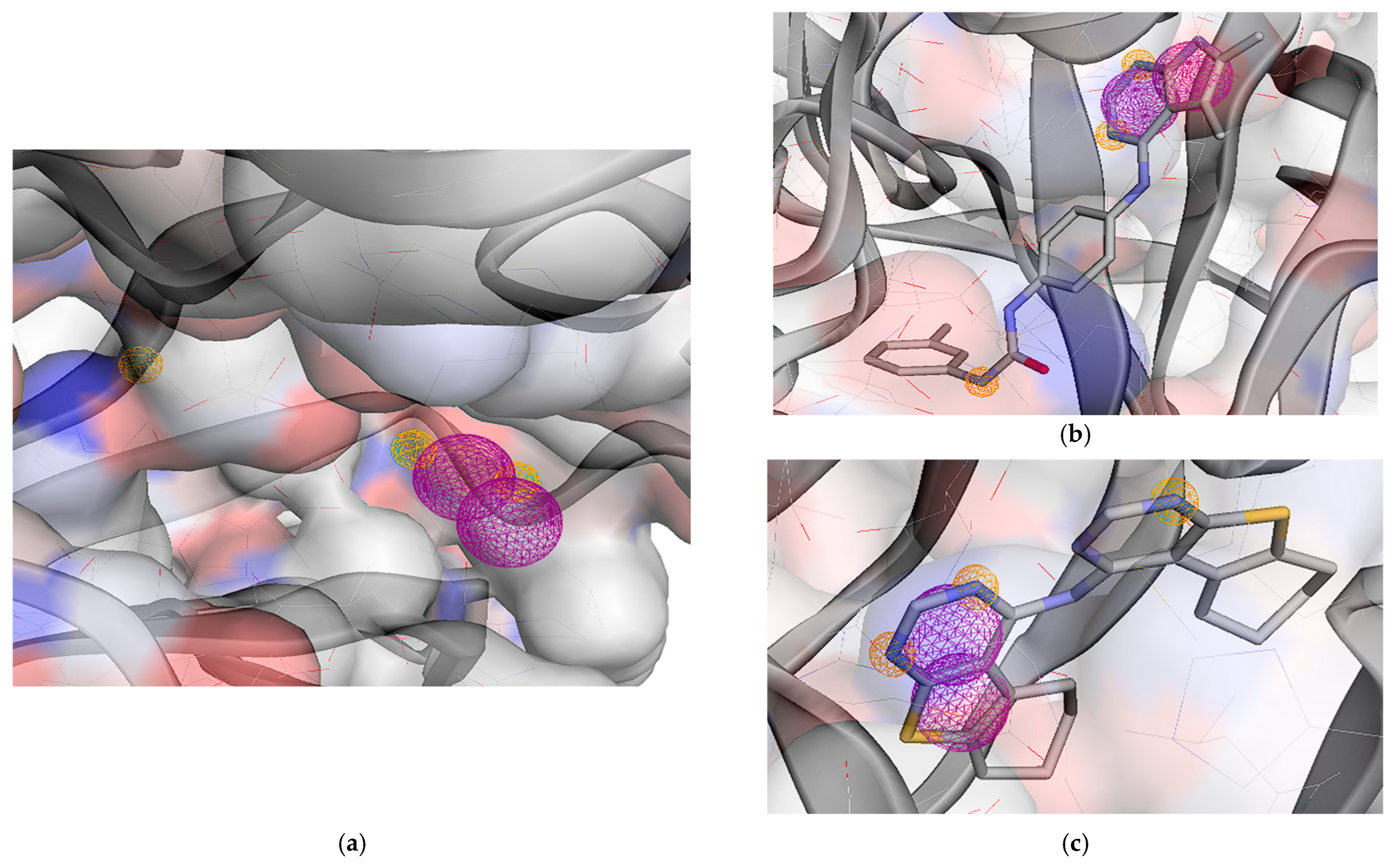 Molecules 31 01689 g012 Molecules 31 01689 g012