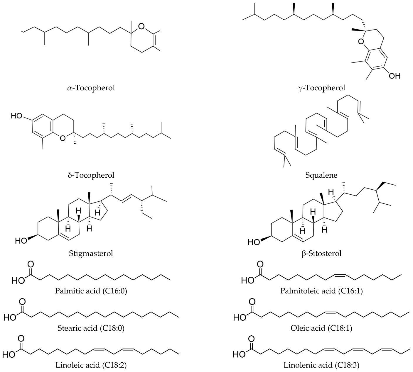 Molecules 31 01700 g002 Molecules 31 01700 g002