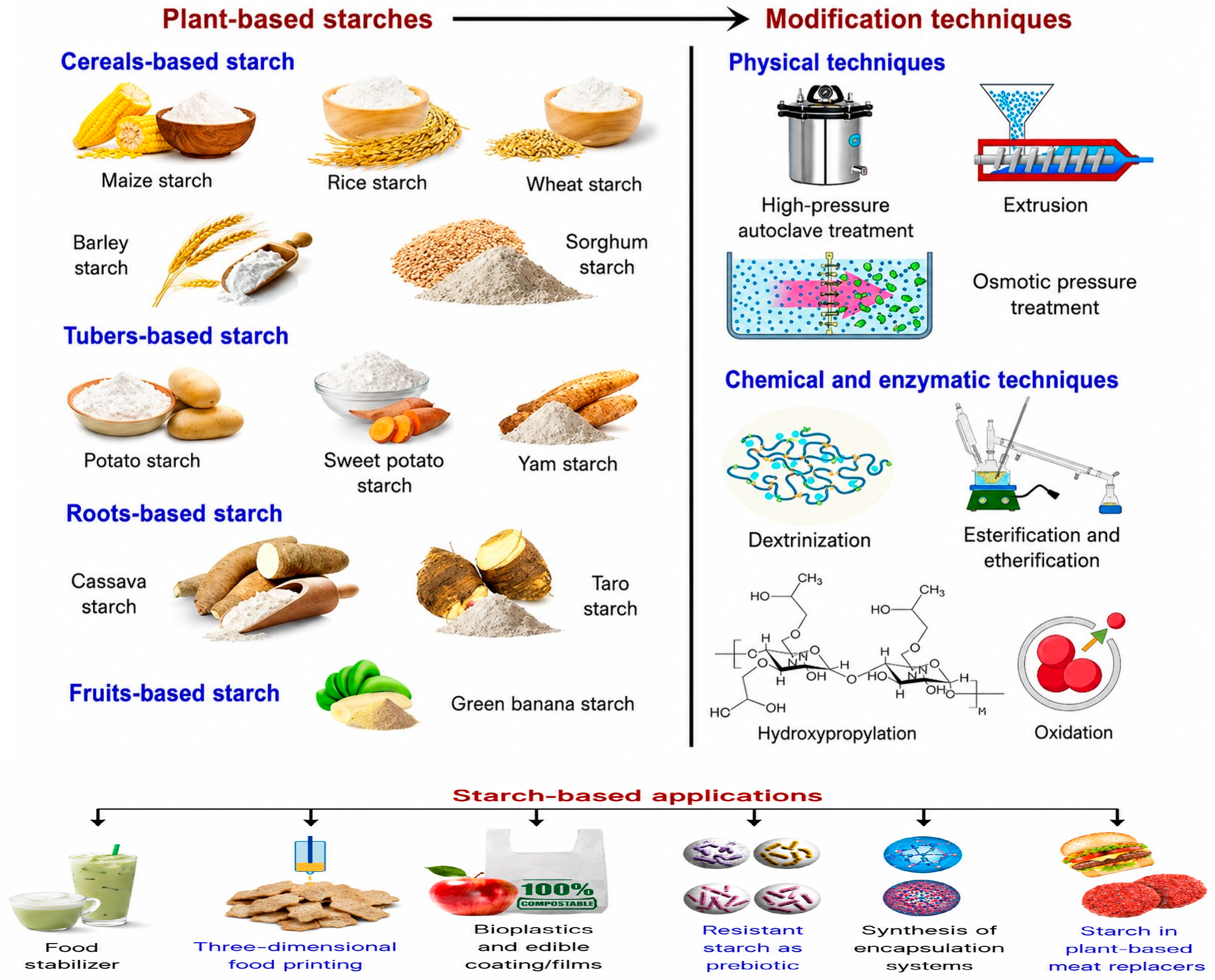 Starch-Based Functional Ingredients in Baking: A Review of Advances in ...