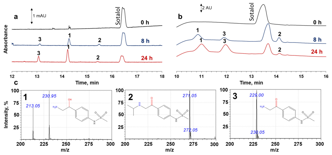 Molecules 31 01714 g002 Molecules 31 01714 g002