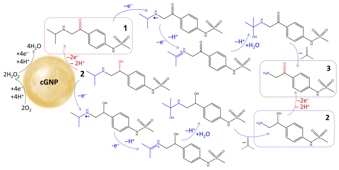Molecules 31 01714 g009 Molecules 31 01714 g009