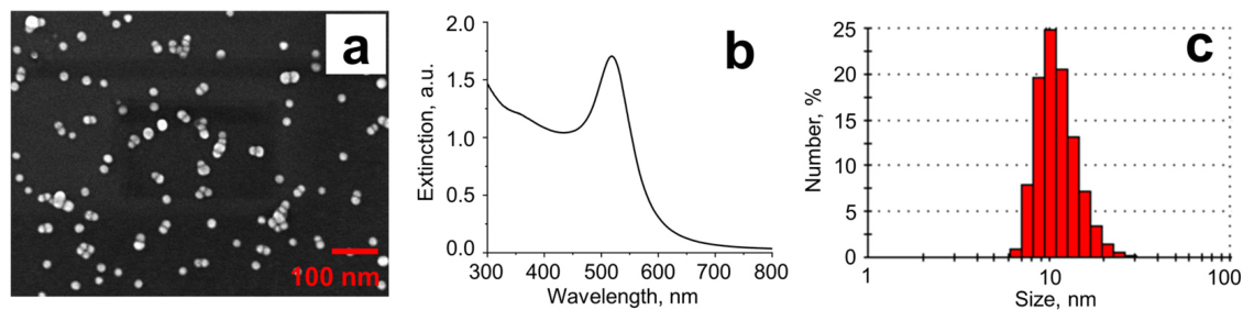 Molecules 31 01714 g010 Molecules 31 01714 g010