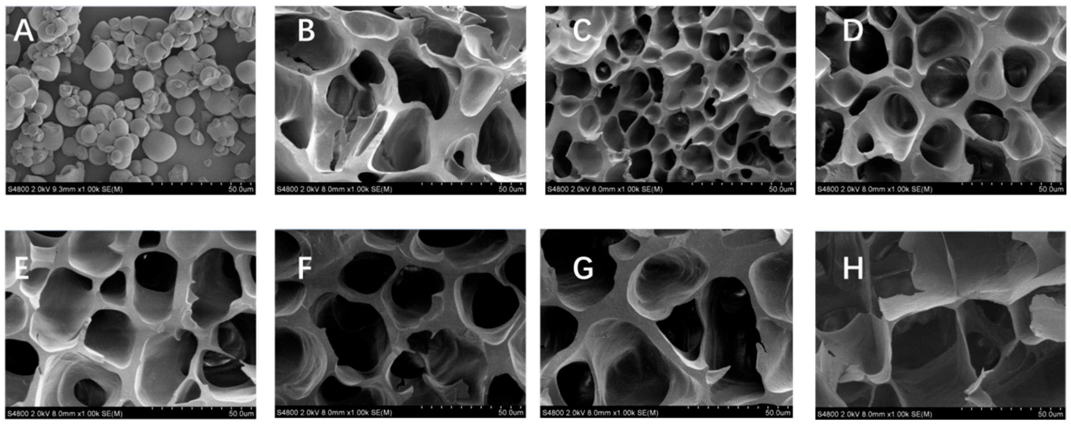 Molecules 31 01718 g001 Molecules 31 01718 g001