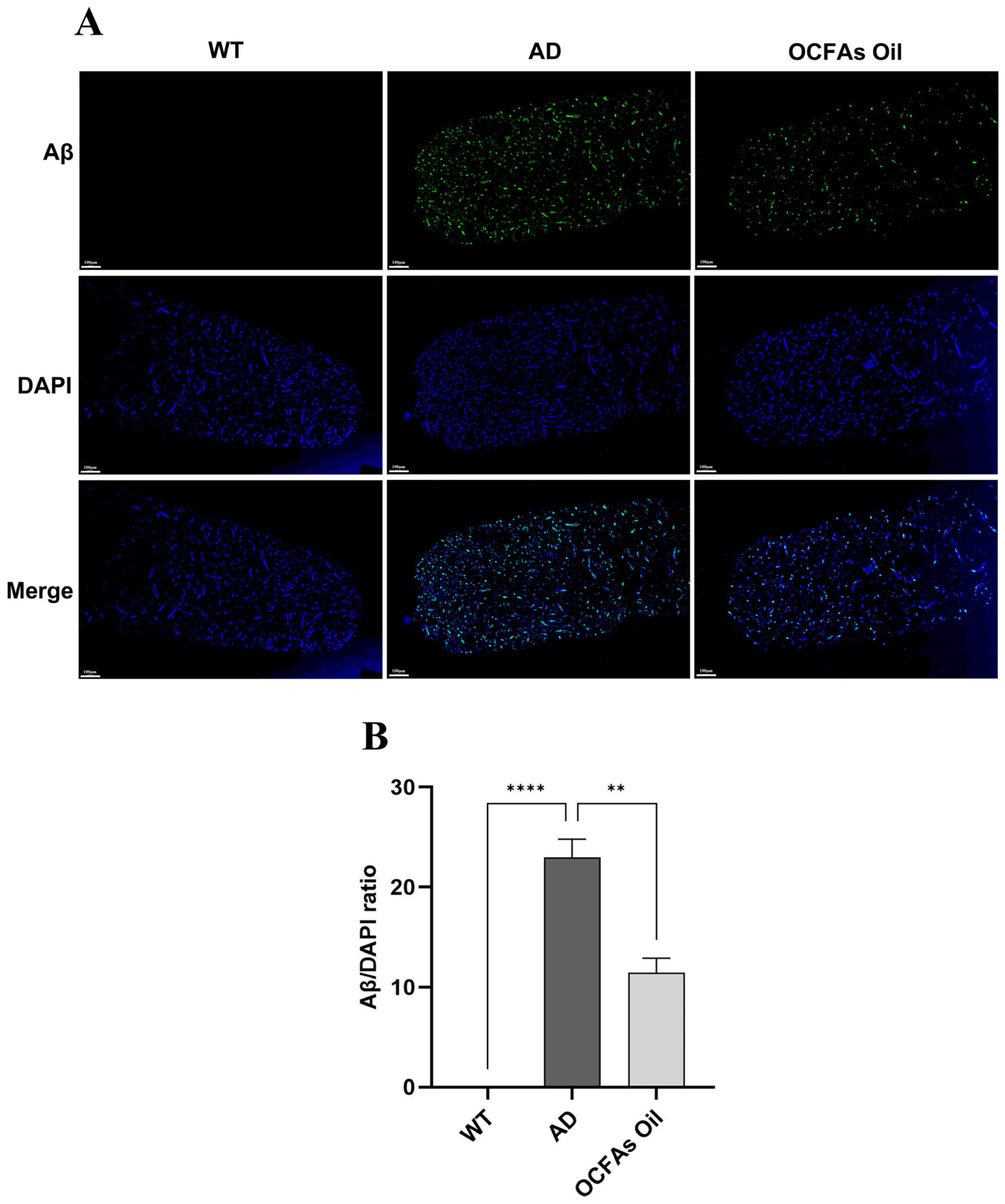 Molecules 31 01734 g004 Molecules 31 01734 g004