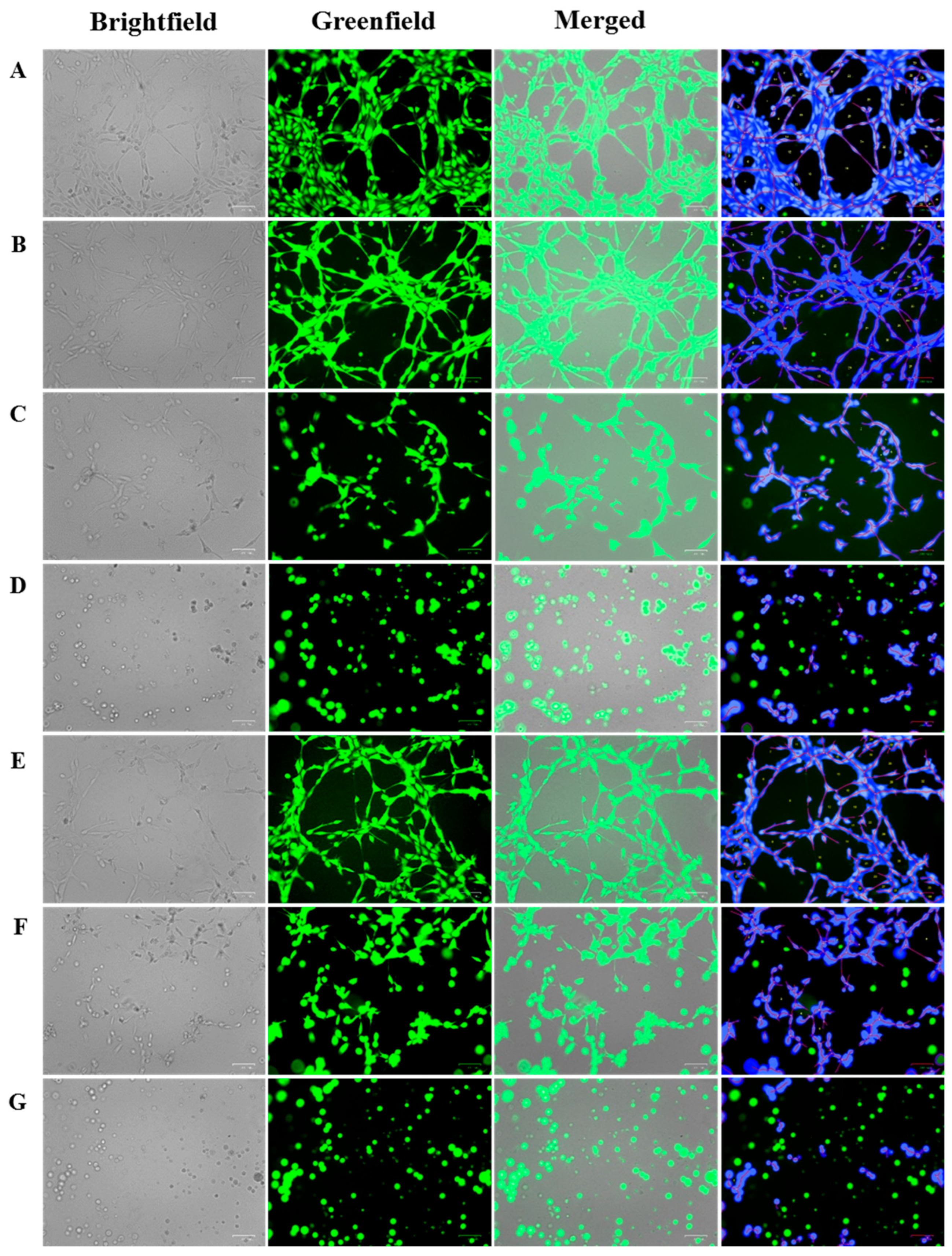 Molecules 31 01757 g003 Molecules 31 01757 g003