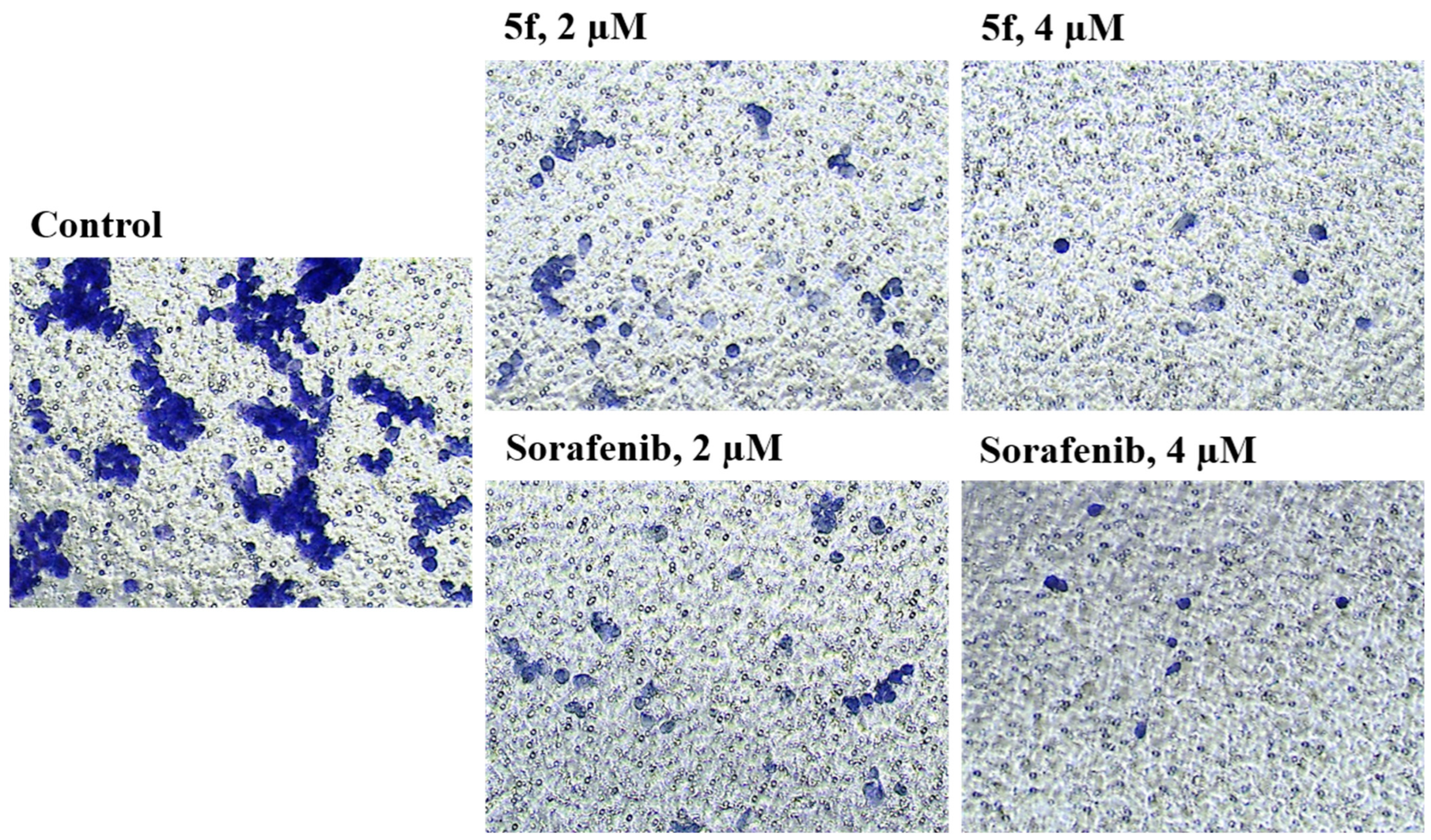 Molecules 31 01757 g008 Molecules 31 01757 g008