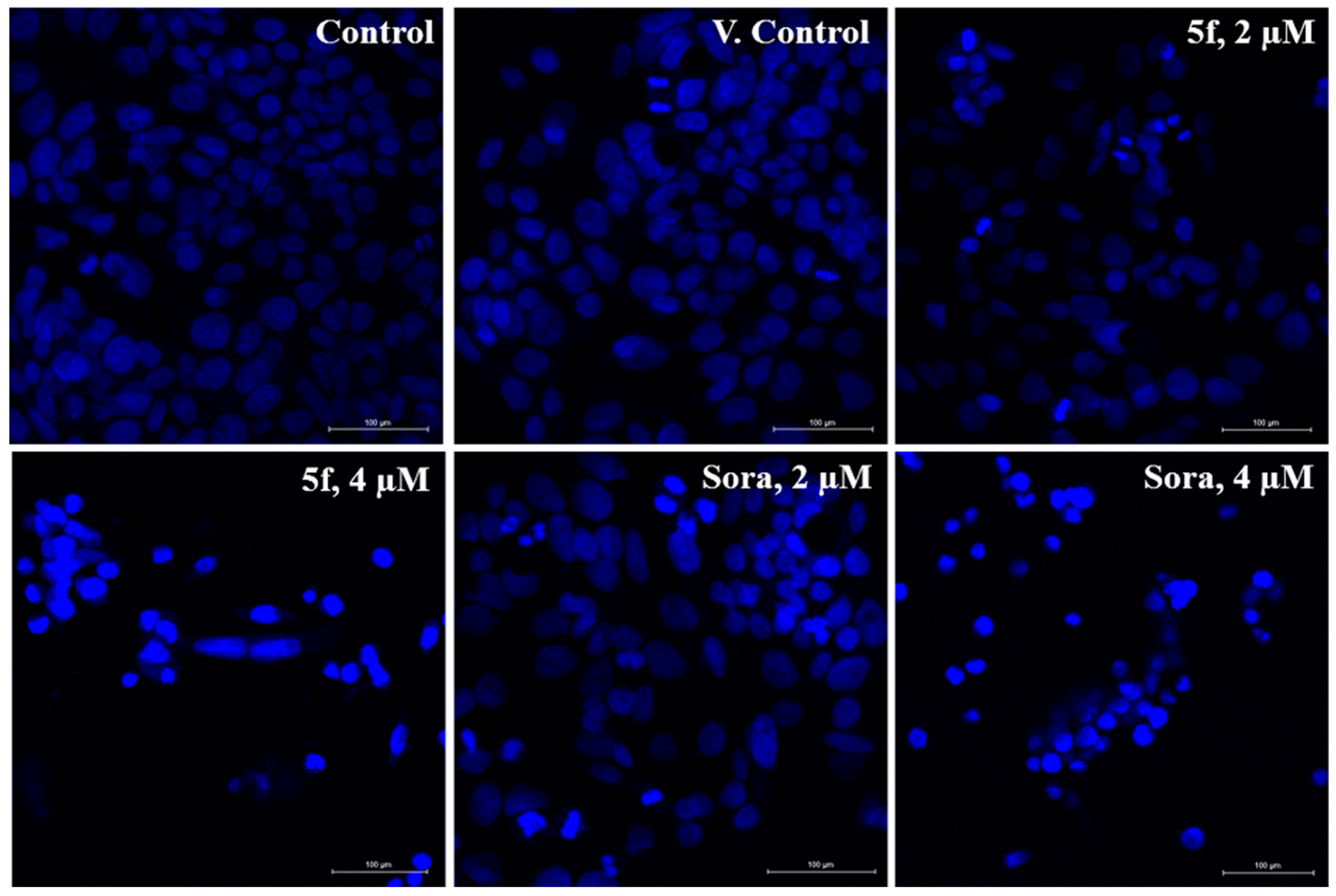 Molecules 31 01757 g009 Molecules 31 01757 g009