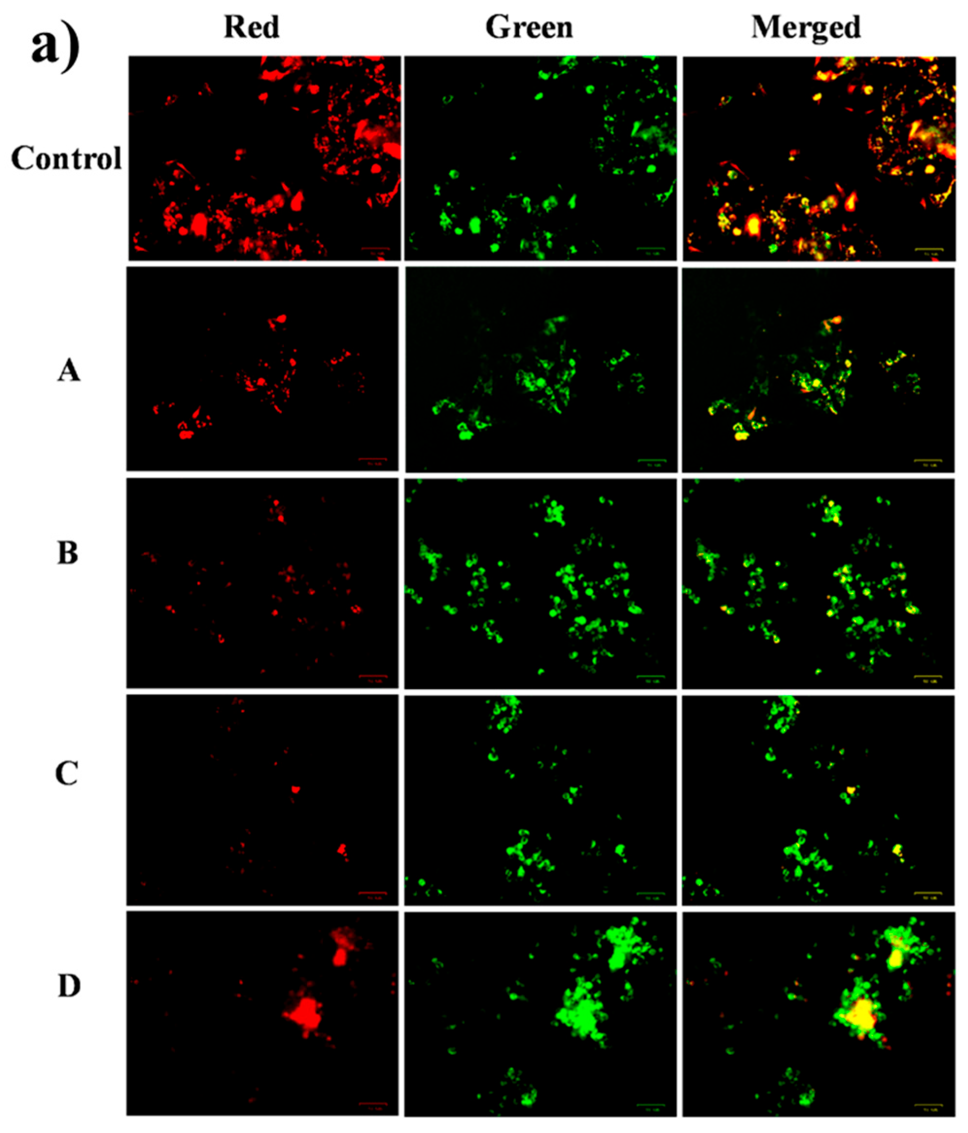 Molecules 31 01757 g010a Molecules 31 01757 g010a