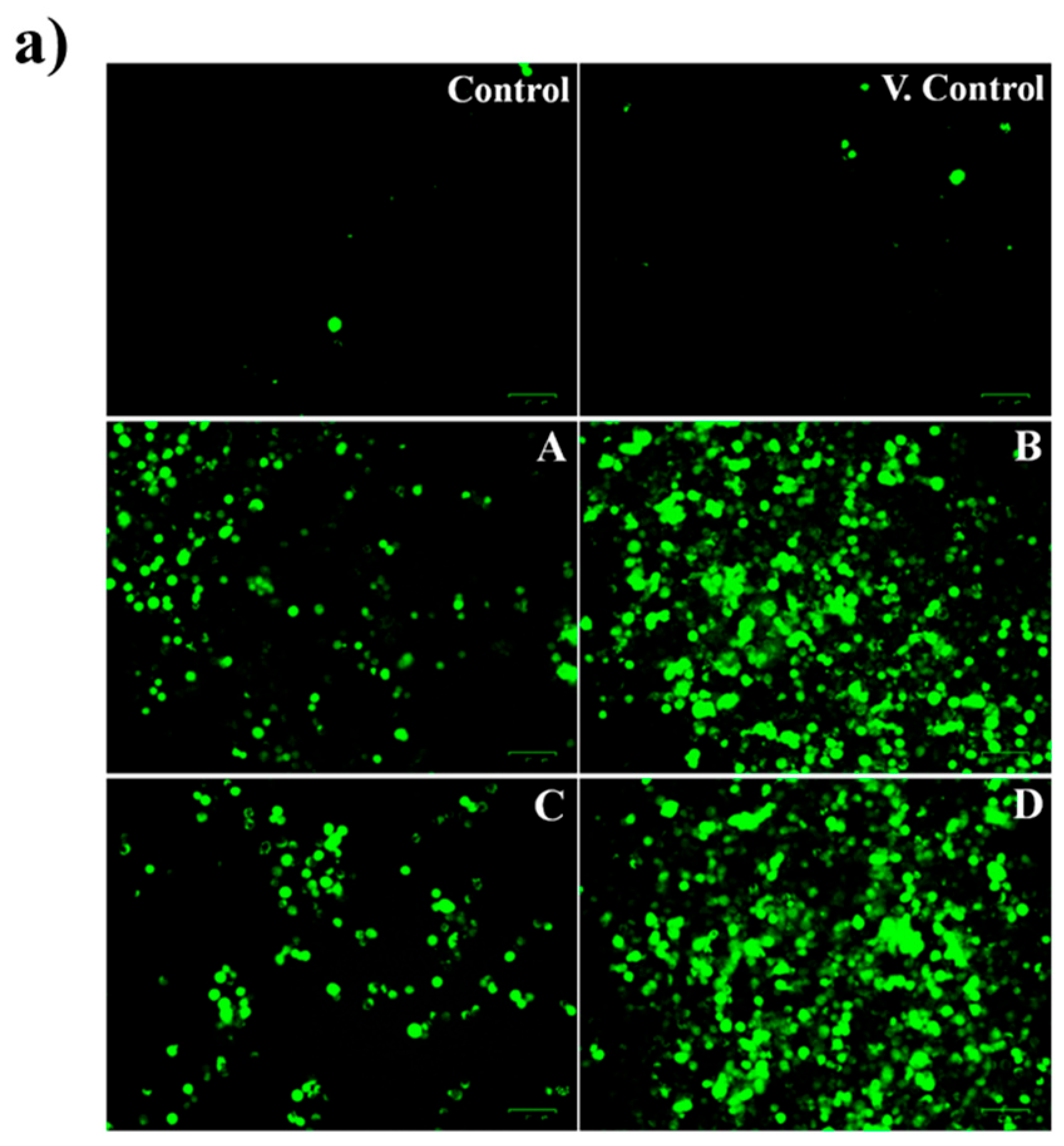 Molecules 31 01757 g011a Molecules 31 01757 g011a