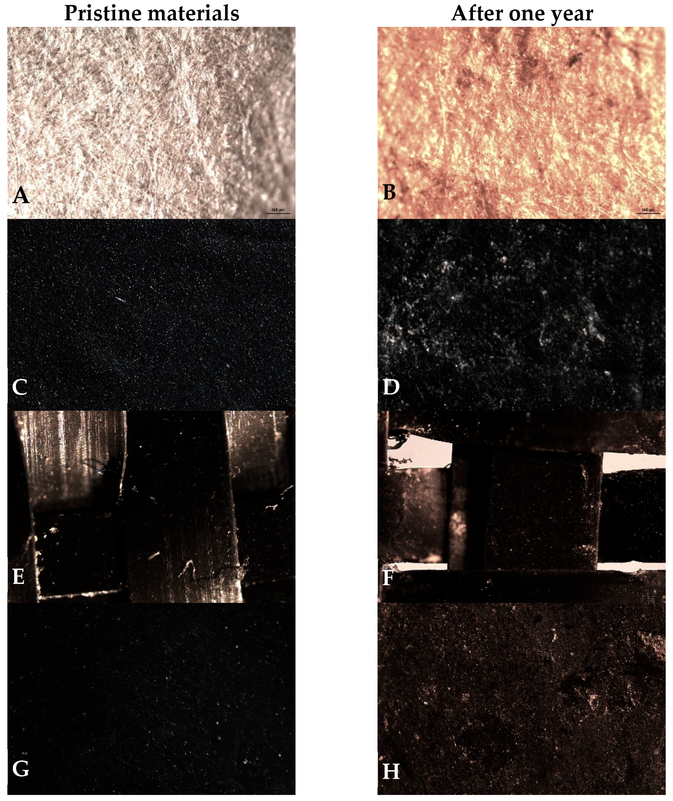 Molecules 31 01758 g002 Molecules 31 01758 g002