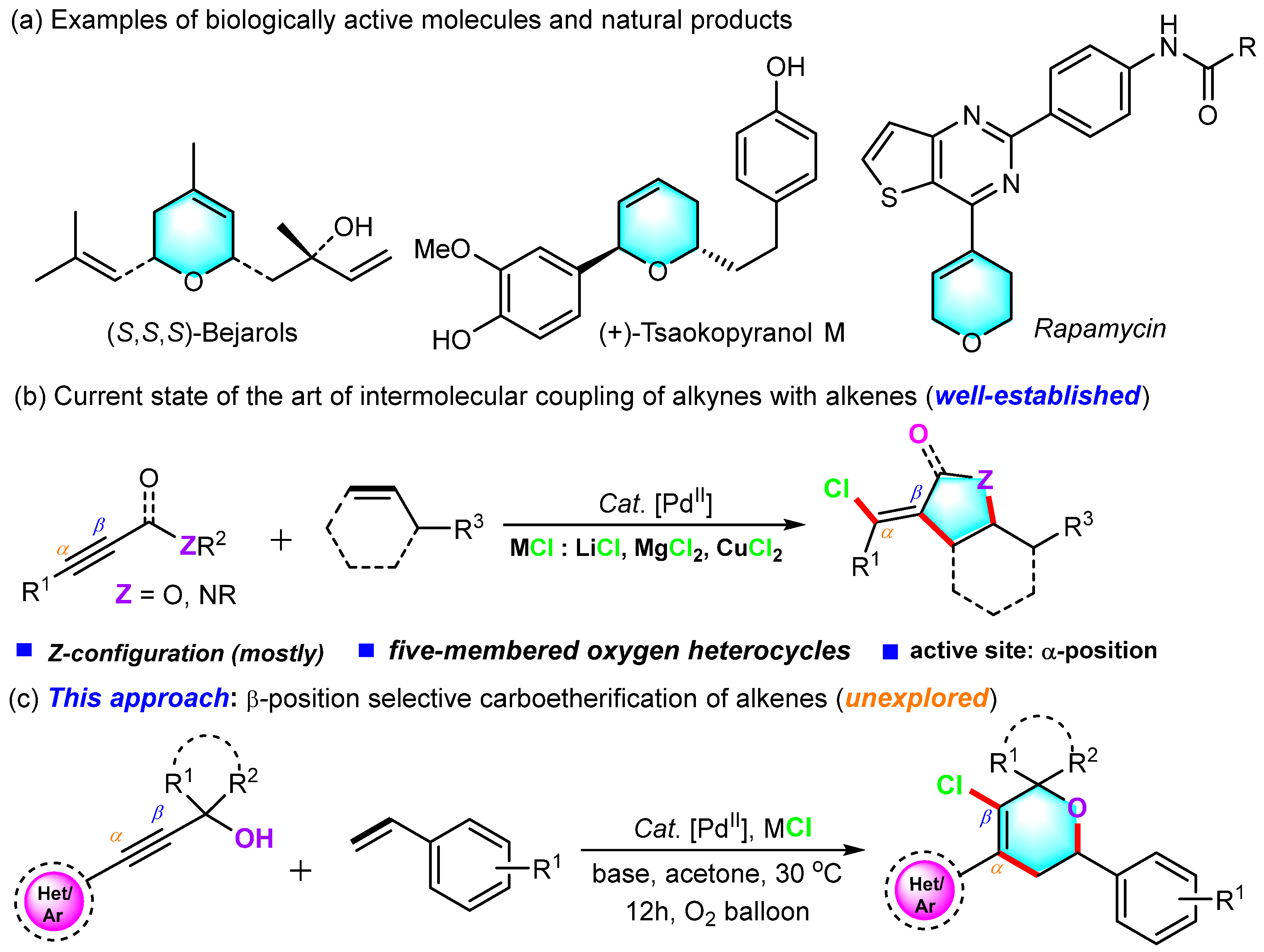 Molecules 31 01778 sch001 Molecules 31 01778 sch001