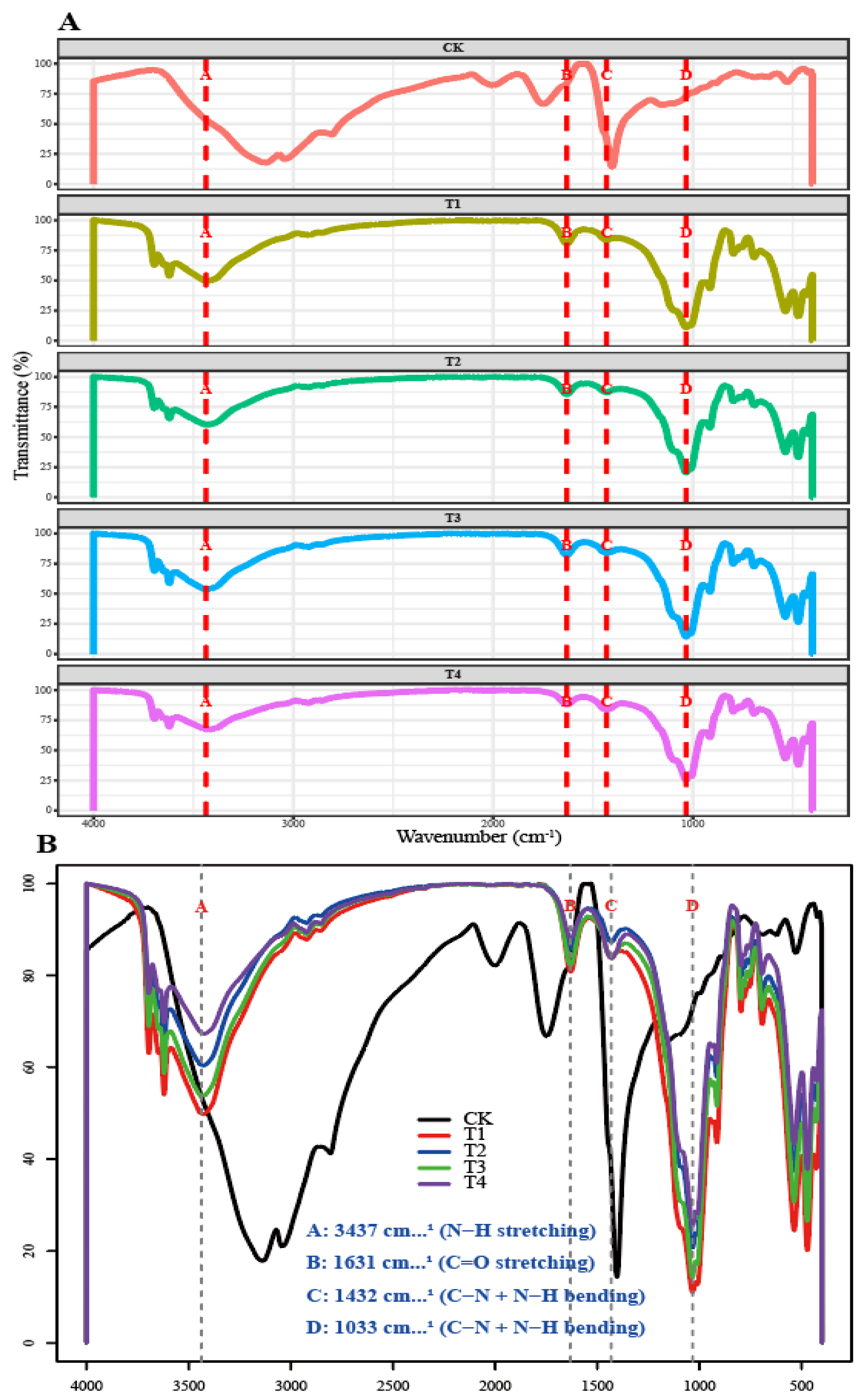 Molecules 31 01779 g004
