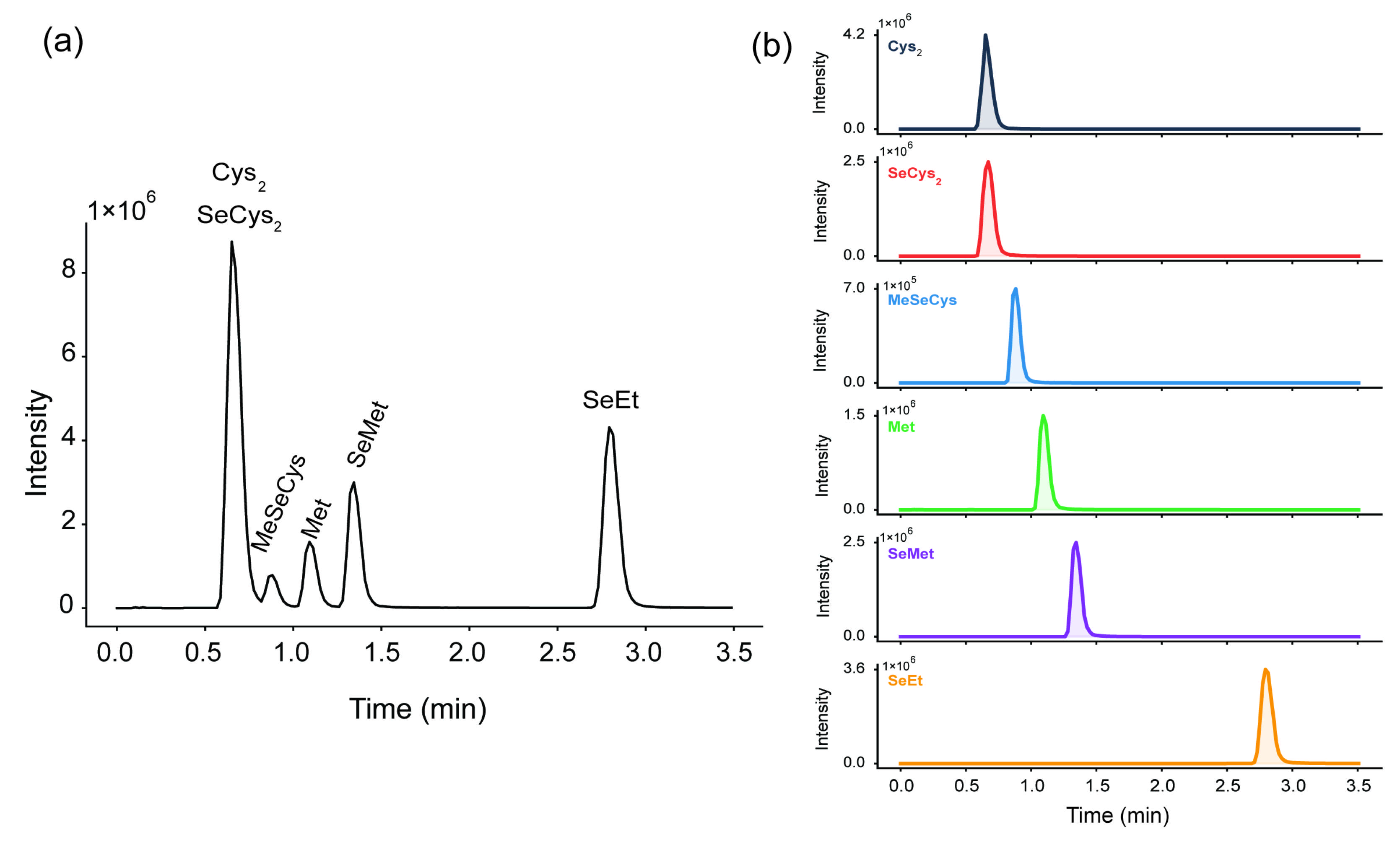Molecules 31 01780 g001 Molecules 31 01780 g001