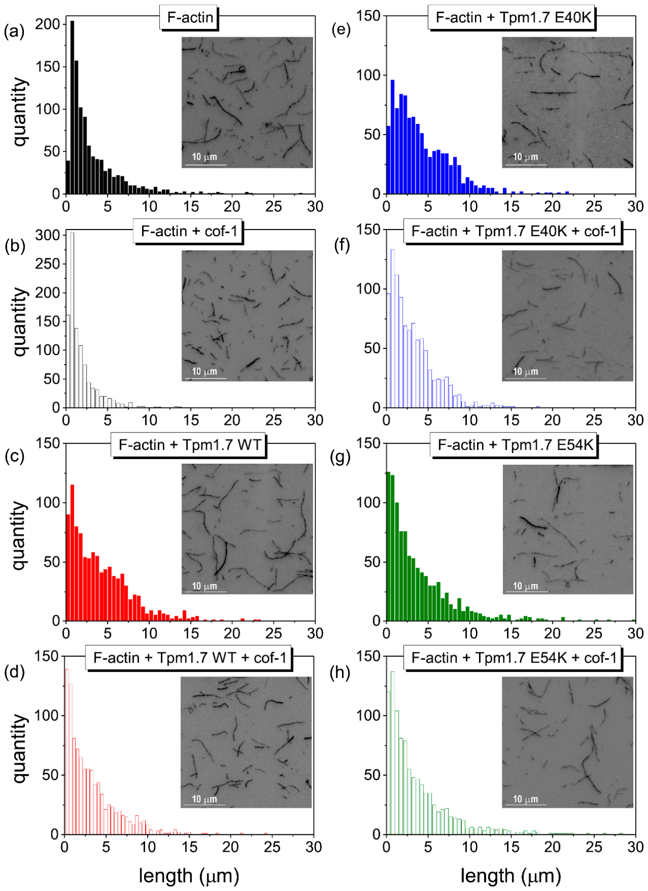 Molecules 31 01784 g005 Molecules 31 01784 g005