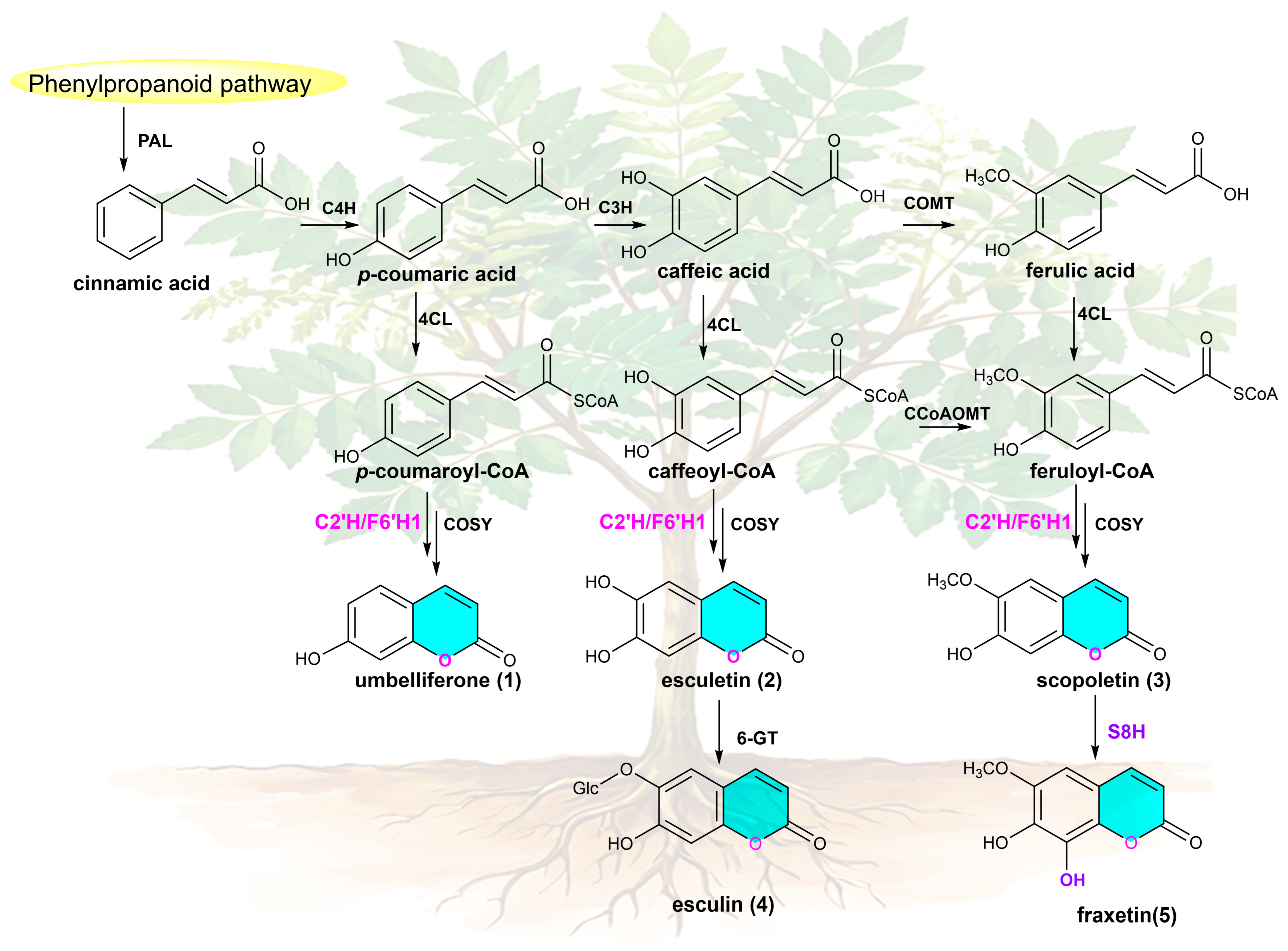 Molecules 31 01787 g001