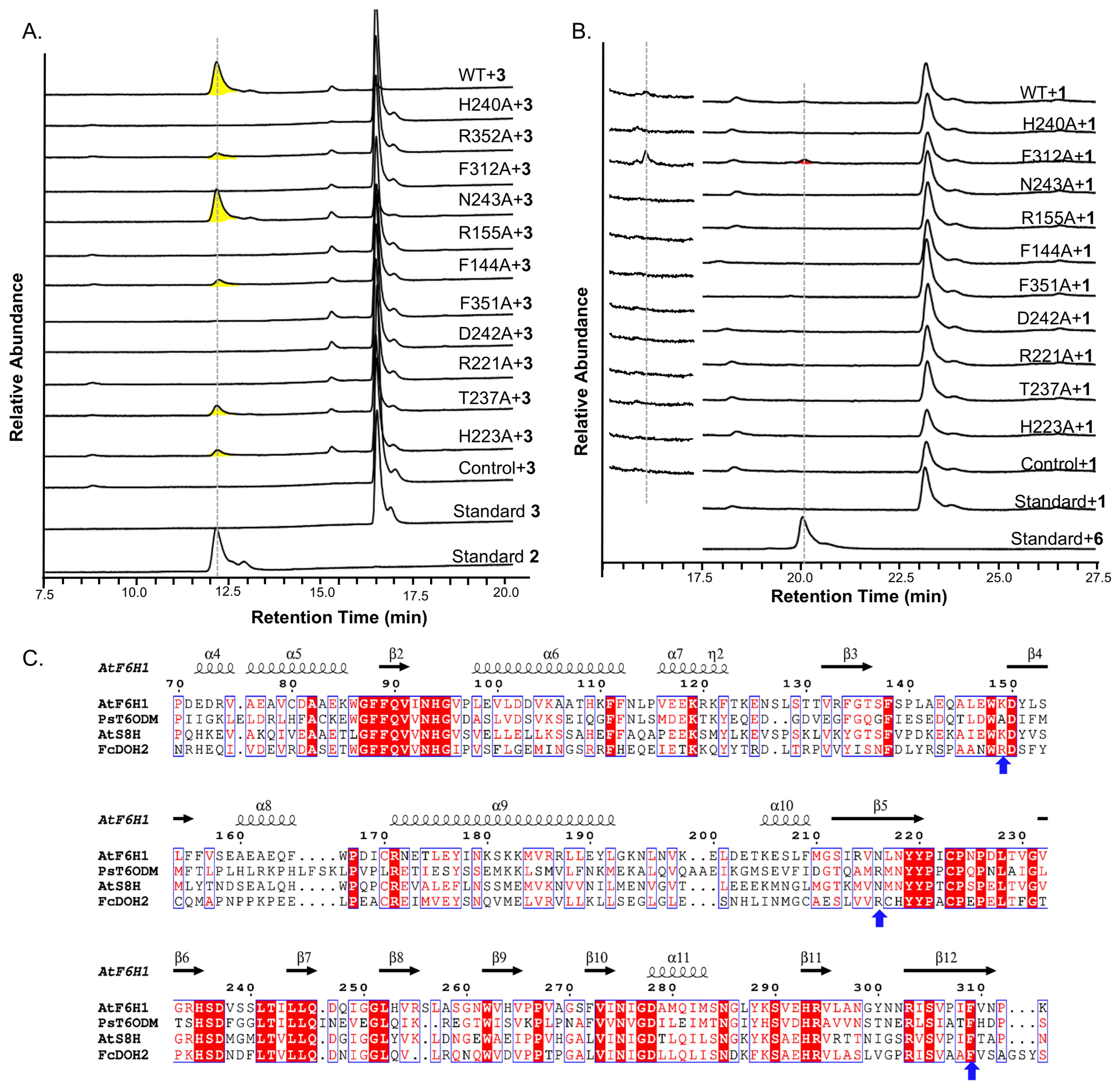 Molecules 31 01787 g005