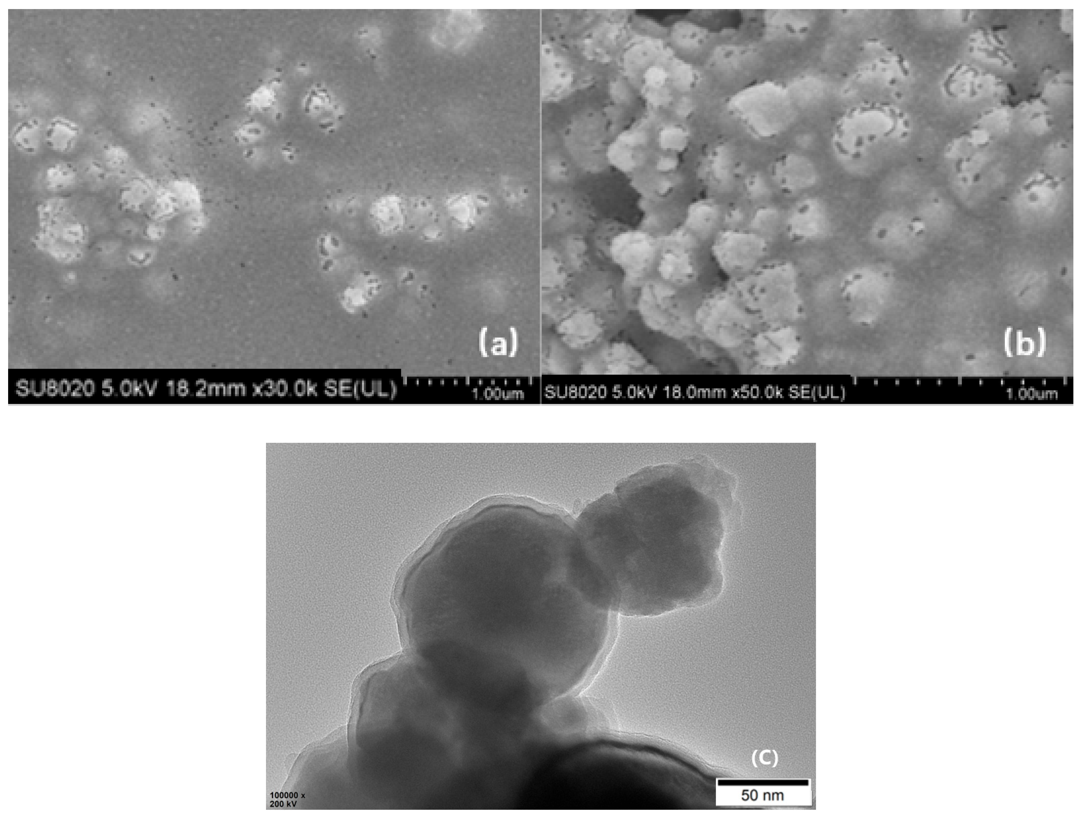 Molecules 31 01816 g007