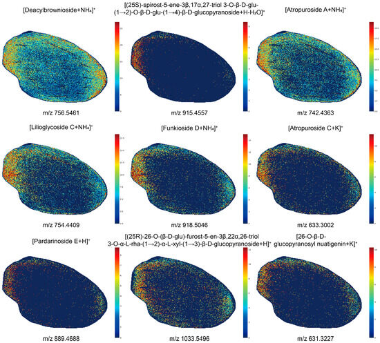 Integrated MALDI-MSI and UHPLC-OE-MS for Spatial Visualization and