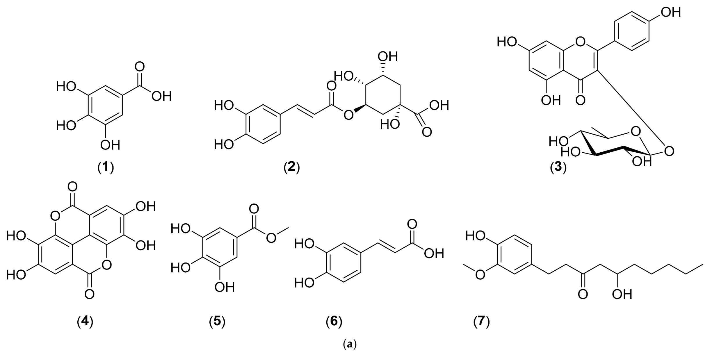 Molecules 31 01821 g001a Molecules 31 01821 g001a