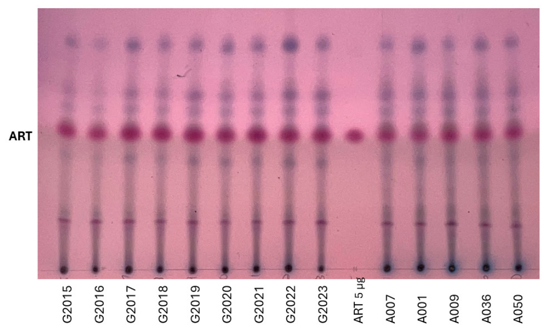 Molecules 31 01854 g002