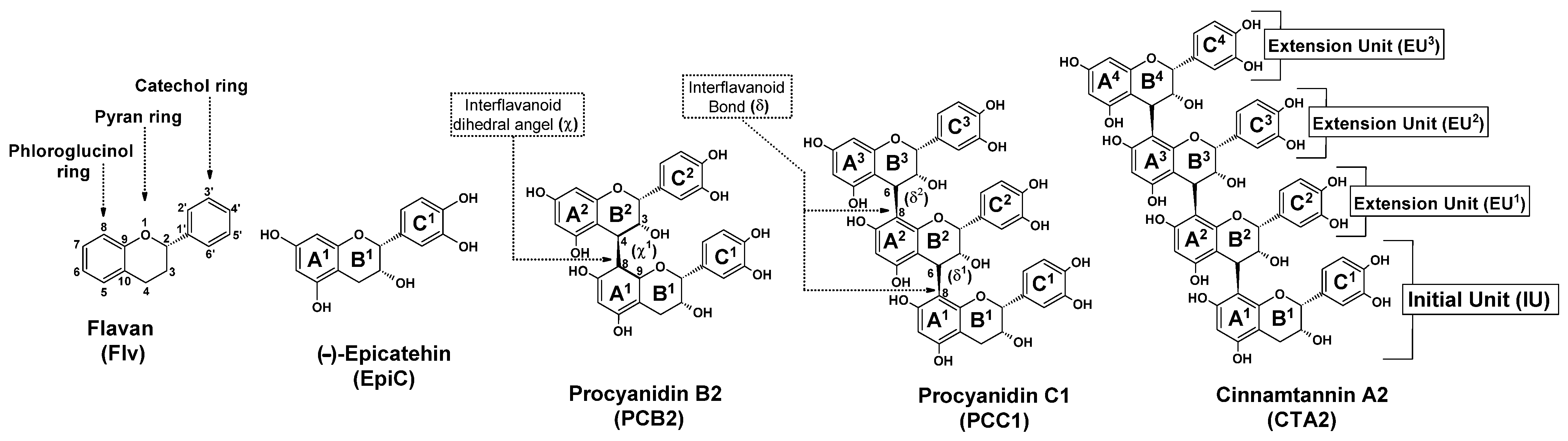 Molecules 31 01876 g001
