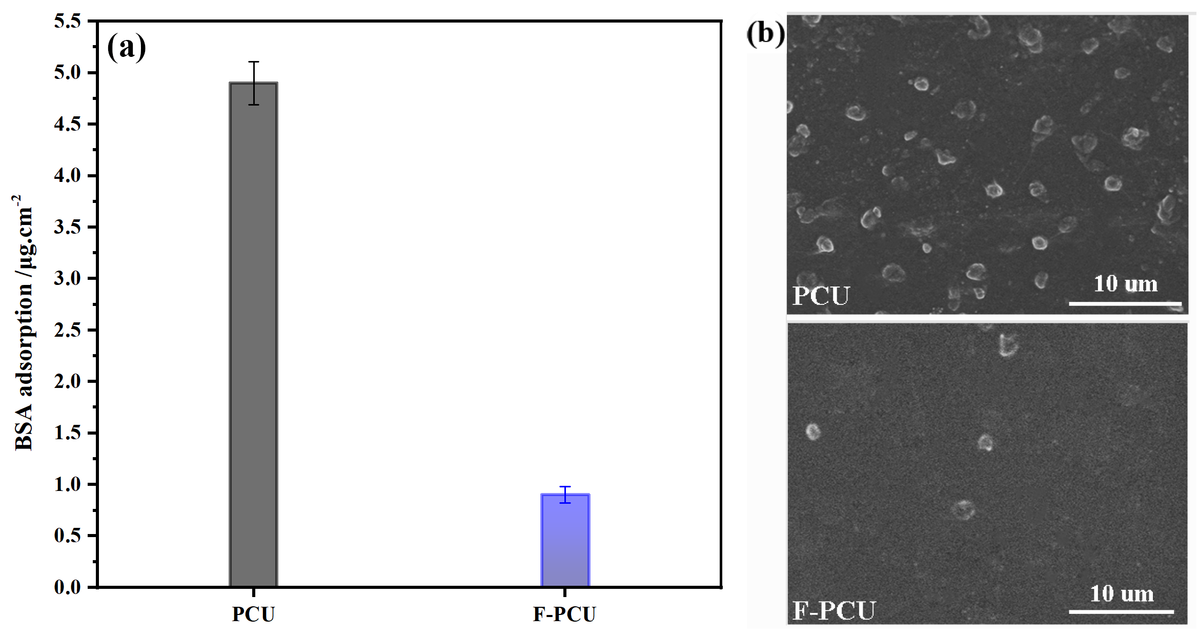 Molecules 31 01913 g008 Molecules 31 01913 g008
