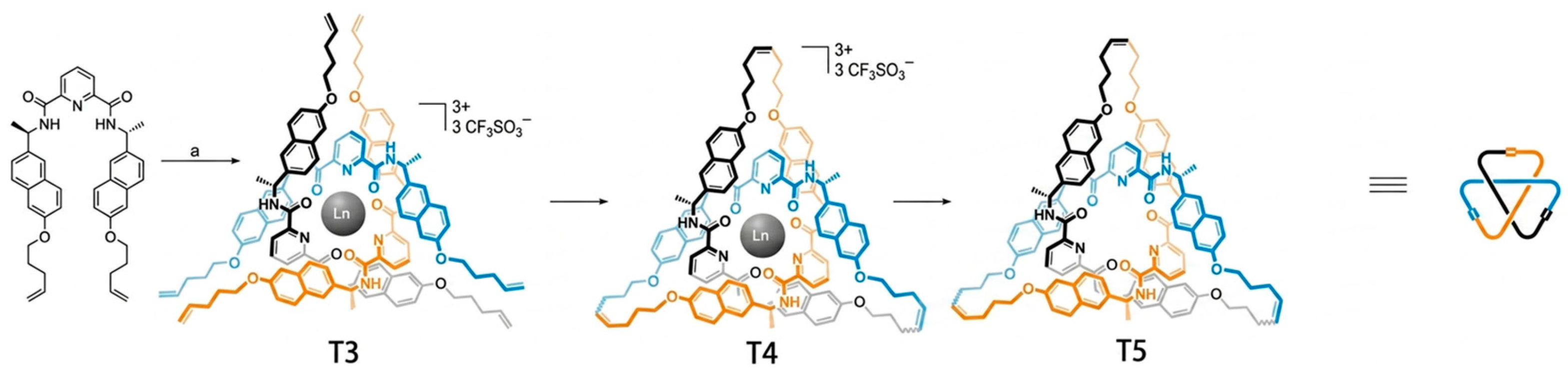 Molecules 31 01953 g004