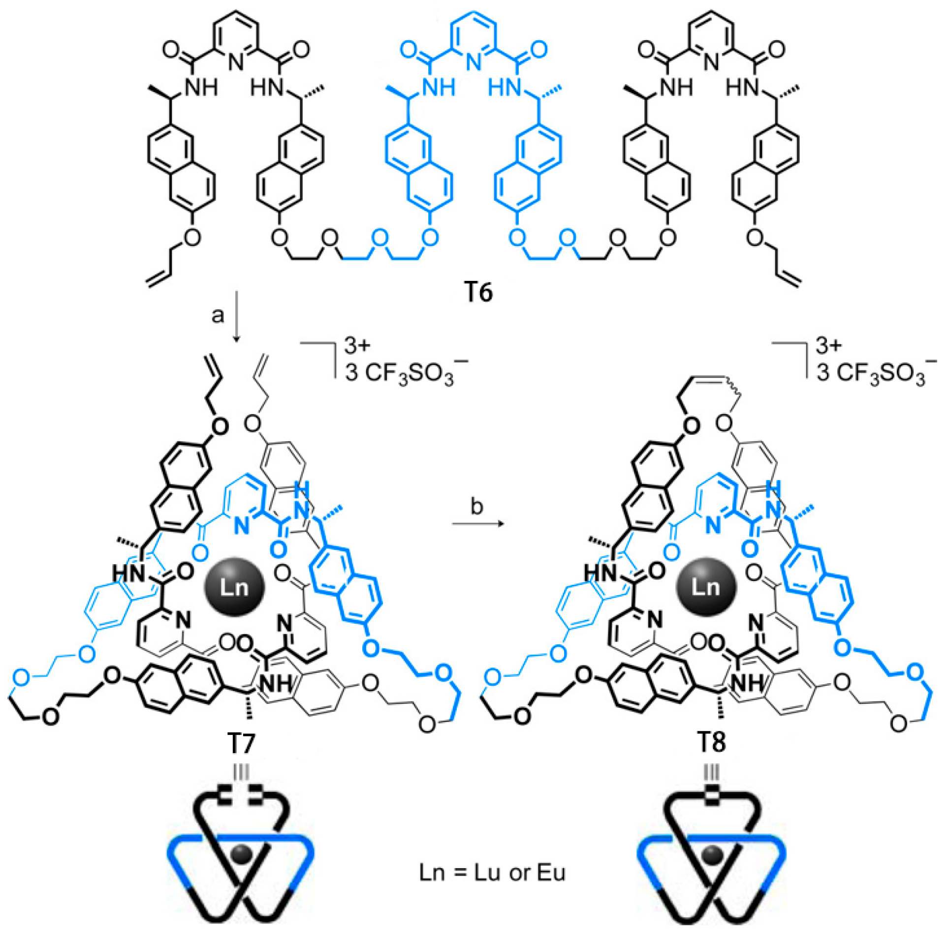 Molecules 31 01953 g005
