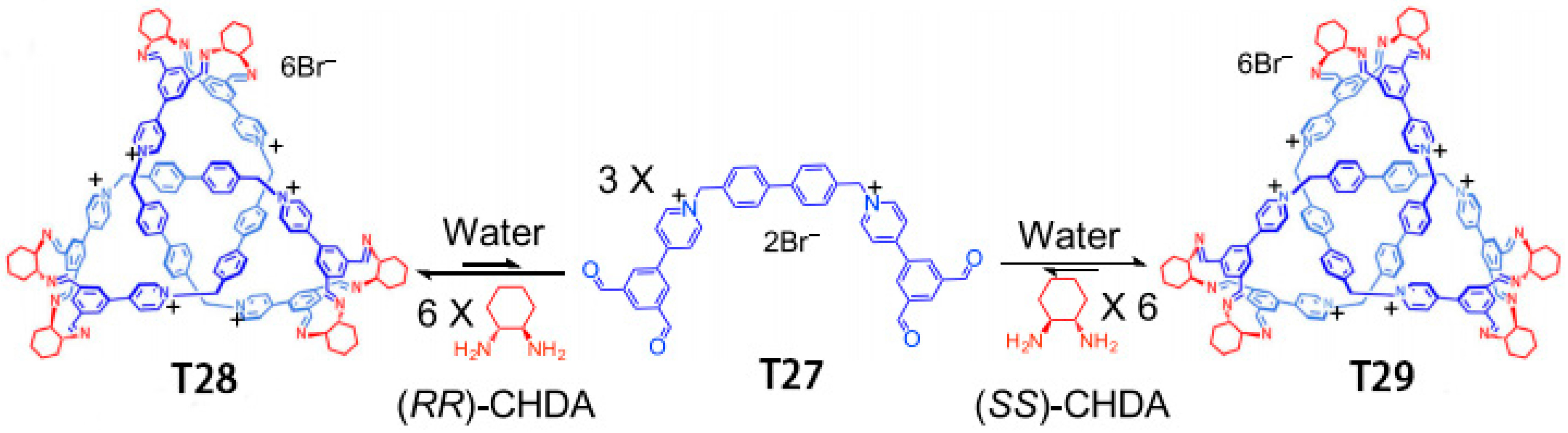 Molecules 31 01953 g012