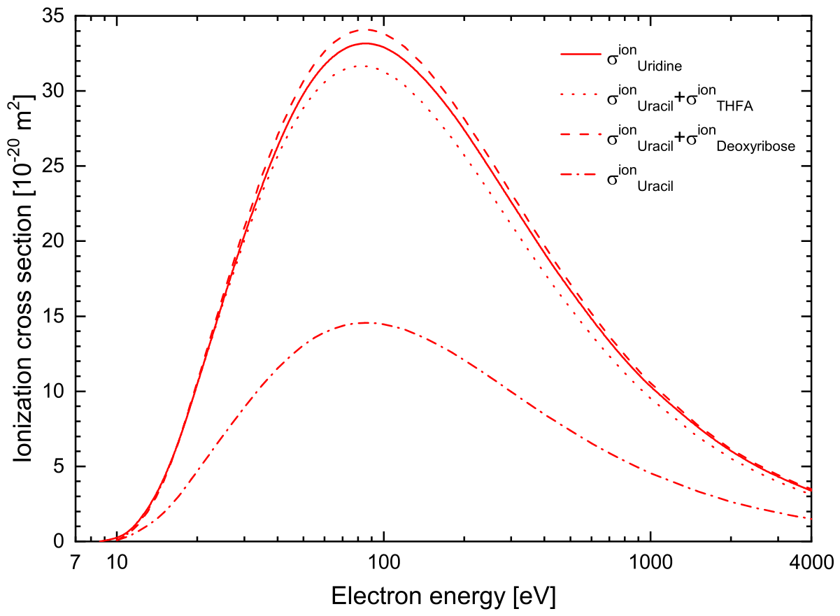Molecules 31 01964 g004