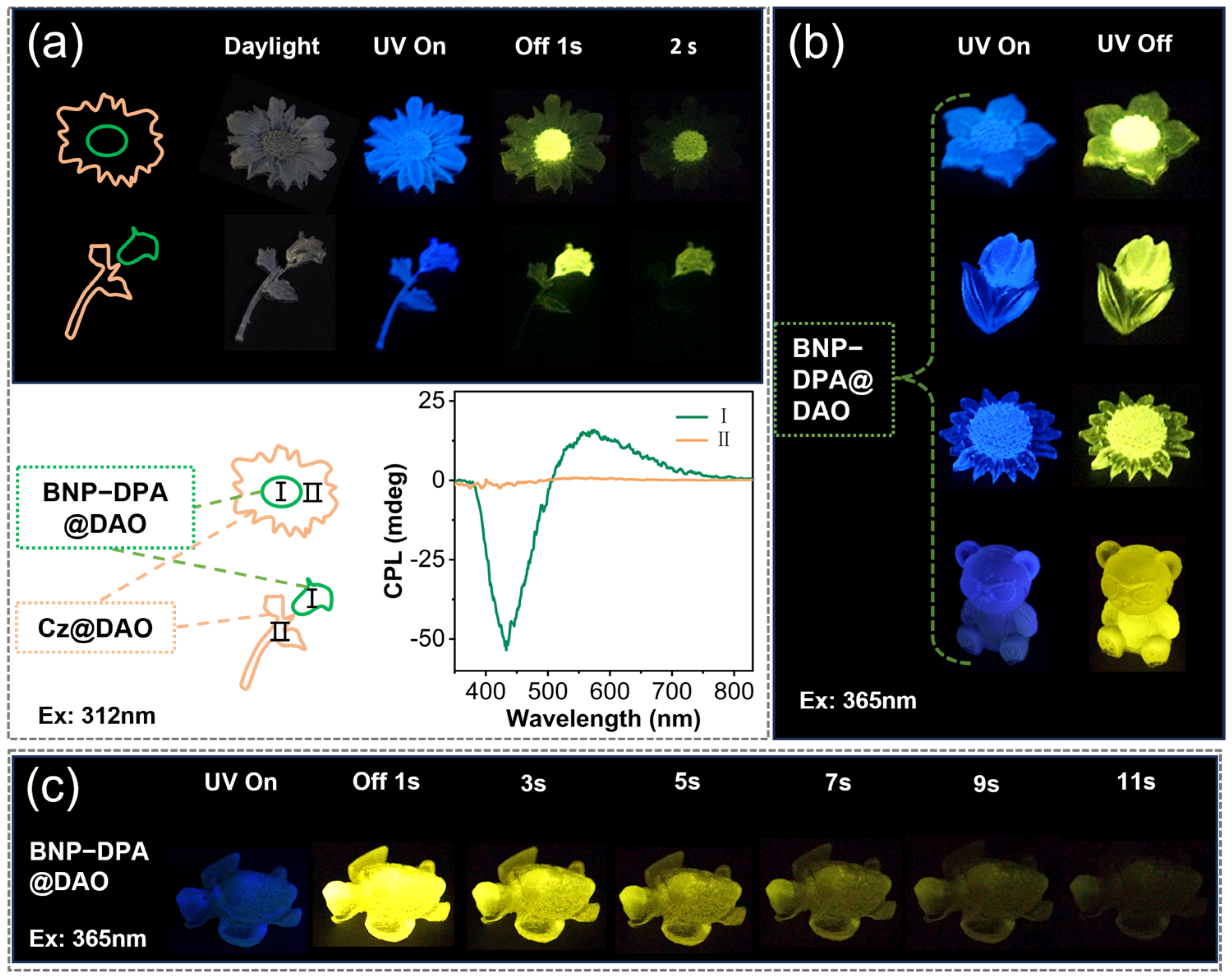 Molecules 31 01967 g005