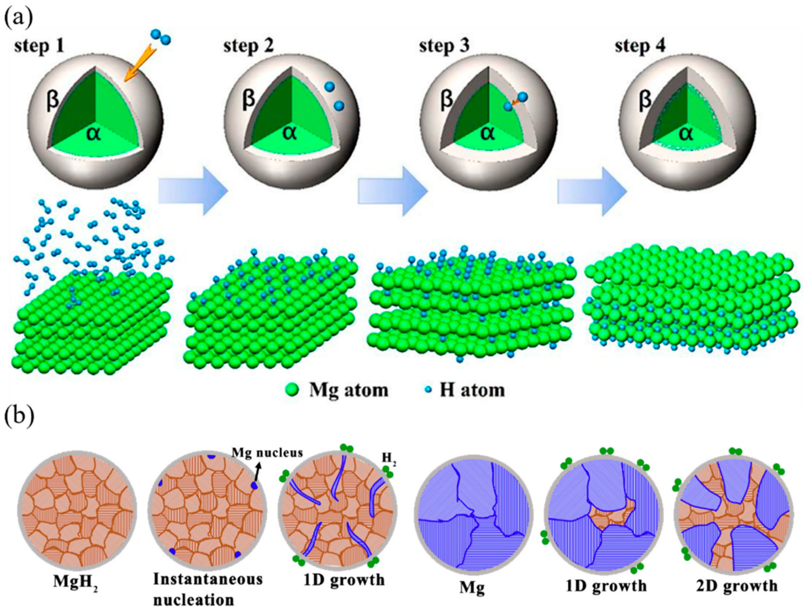 Molecules 31 01982 g004