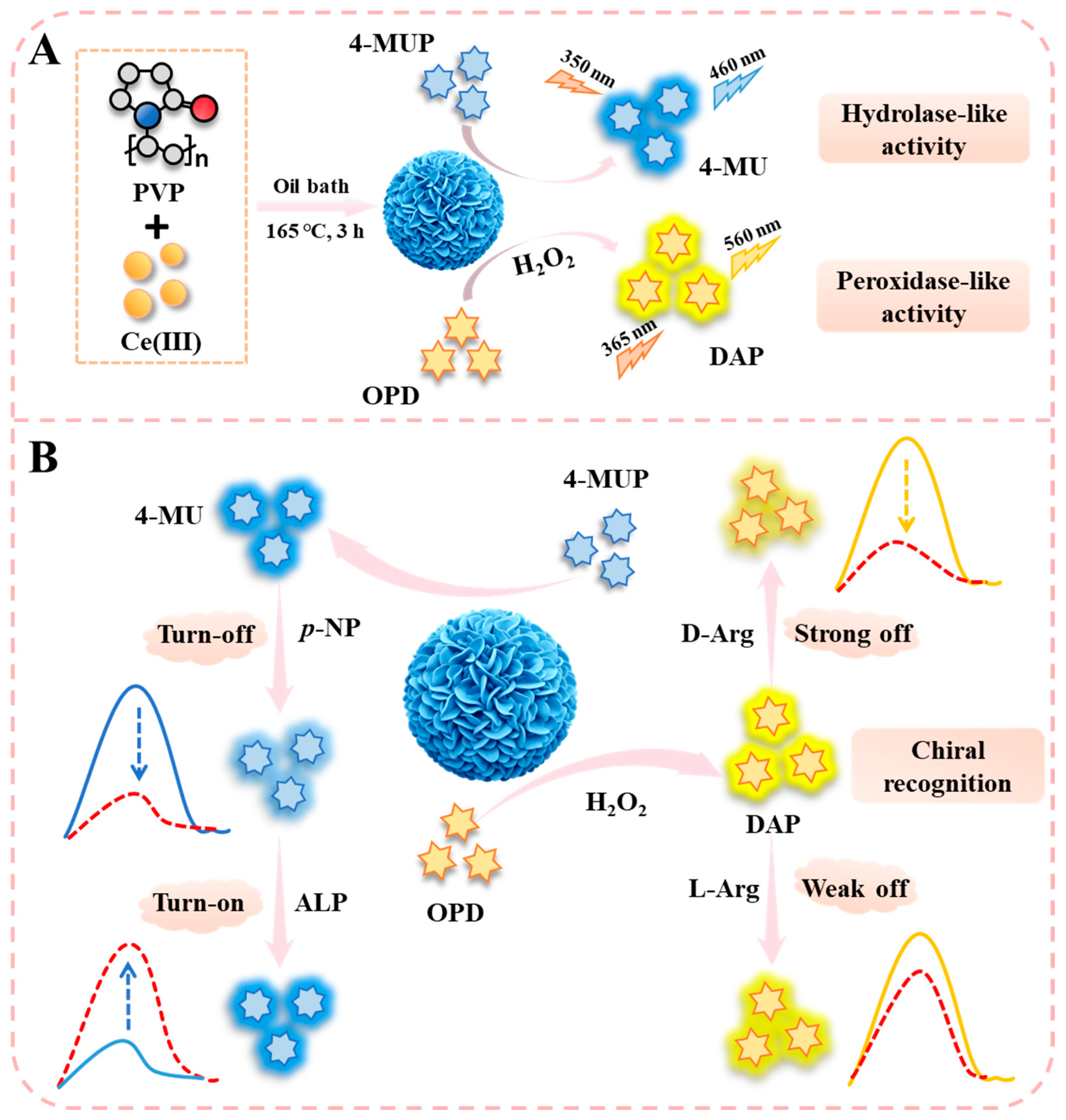 Molecules 31 02003 g001
