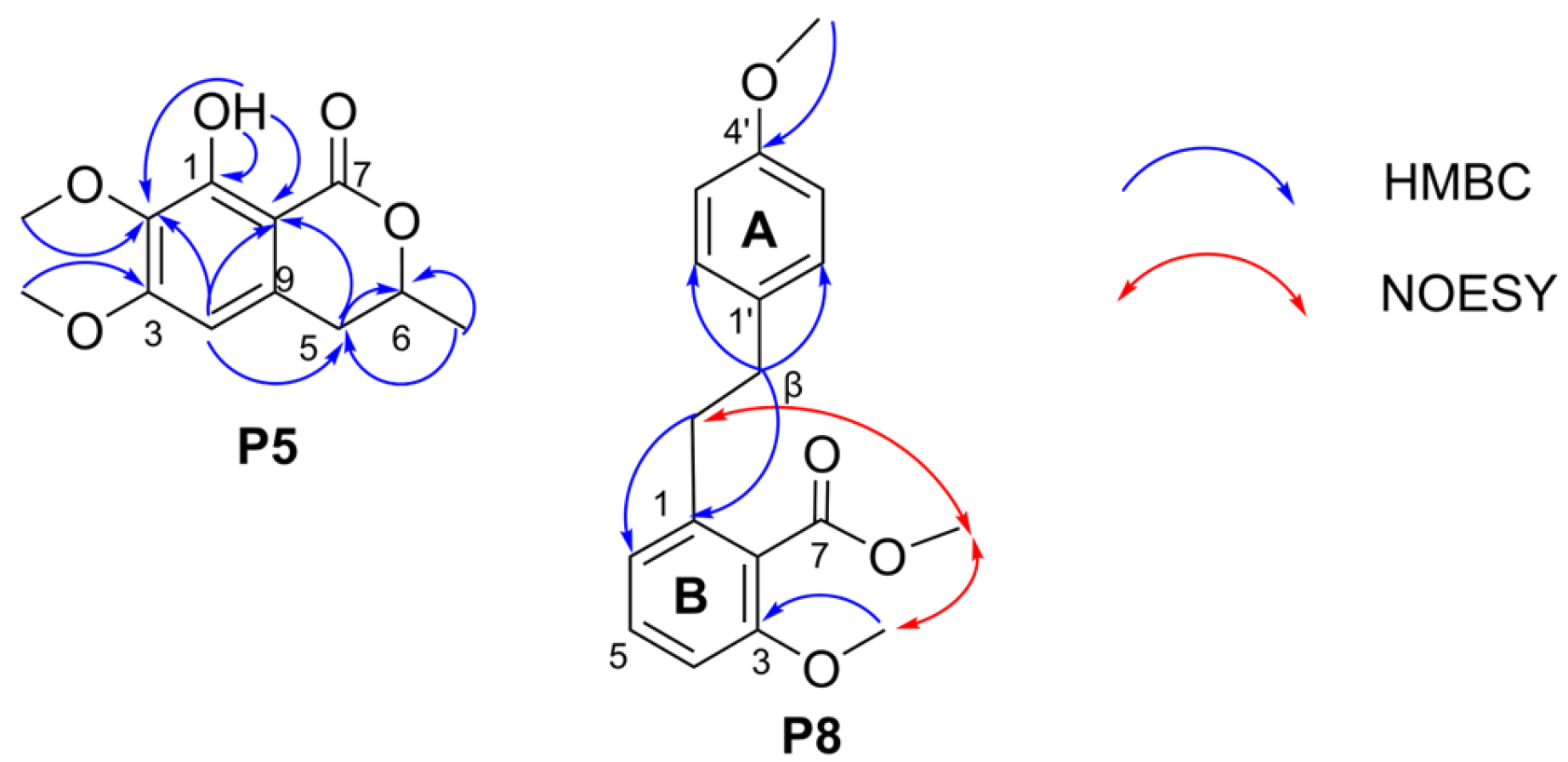 Molecules 31 02009 g005