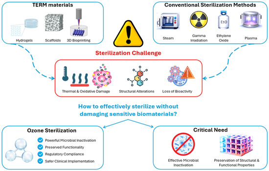 Ozone as a Next-Generation Sterilization Process in Tissue