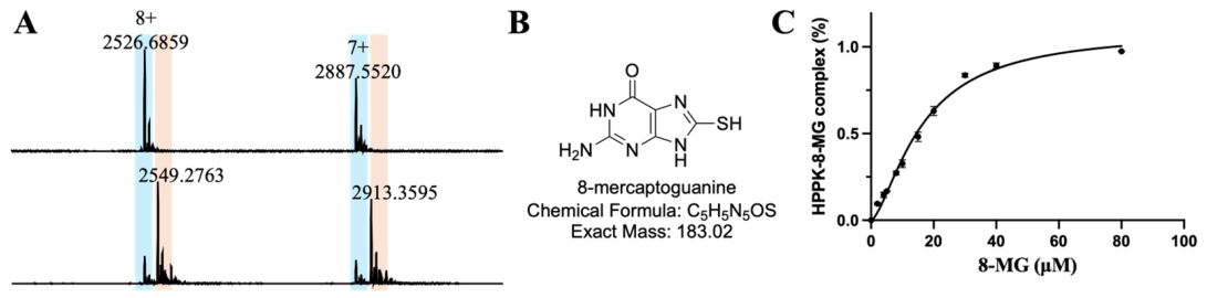Molecules 31 02065 g002 Molecules 31 02065 g002