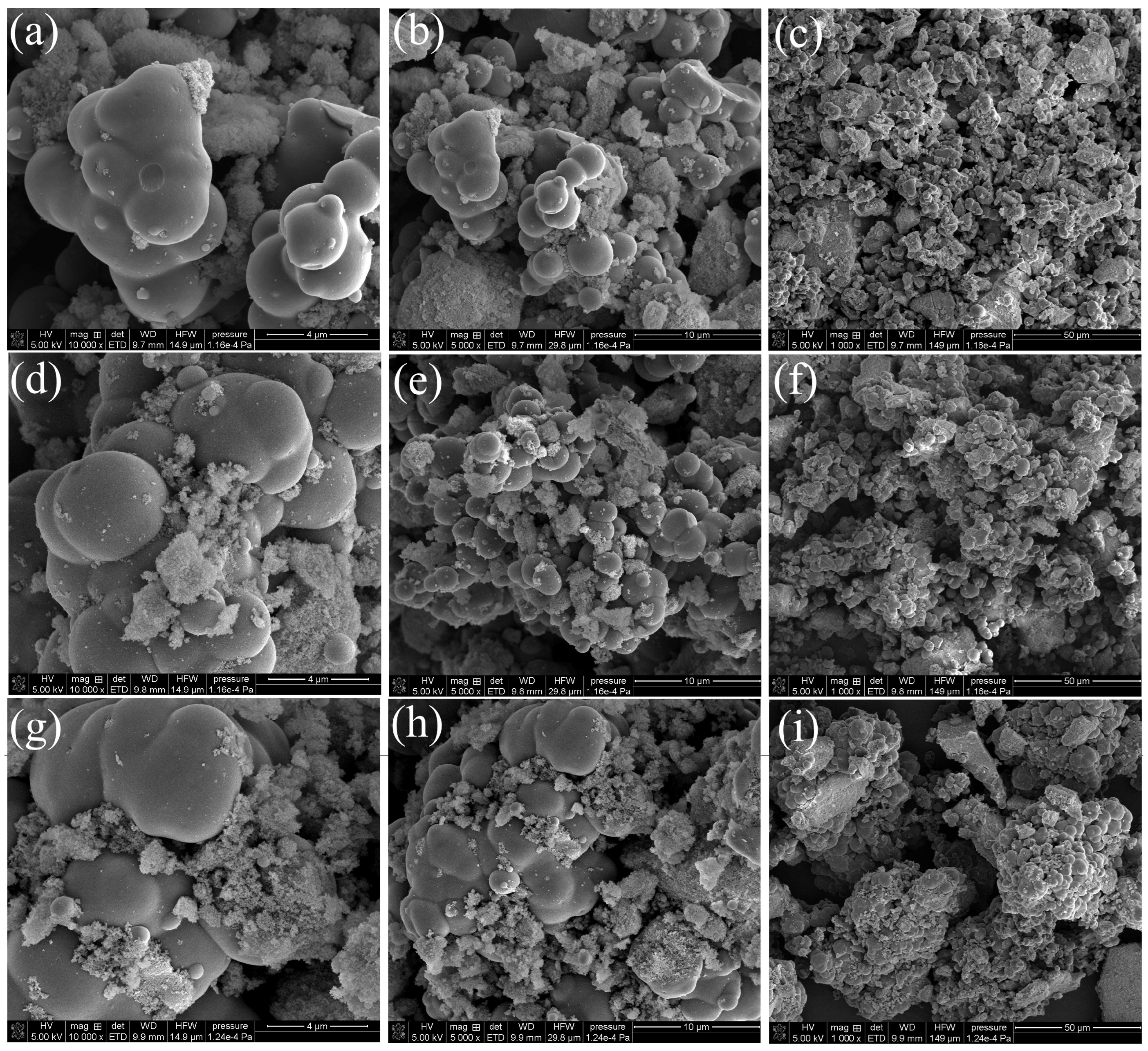 Molecules 31 02079 g005 Molecules 31 02079 g005