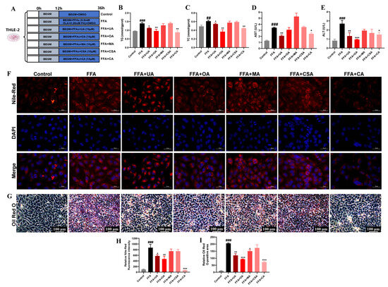 Exploring Active Ingredients and Mechanisms of Crataegi fructus